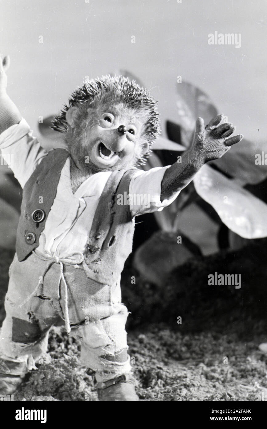 Filmaufnahmen mit dem Satz vom Puppenfilm "Der Wettlauf zwischen dem Hasen und dem Igel mit der Figur Mecki, unter der Produktion und Leitung der Gebrüder Diehl, Deutschland 1930er Jahre. Die Dreharbeiten zu dem Satz der Marionette Film Der Wettlauf zwischen dem Hasen und dem Igel mit dem Charakter Mecki, produziert und durch die Diehl Brüder geleitet, Deutschland 1930. Stockfoto