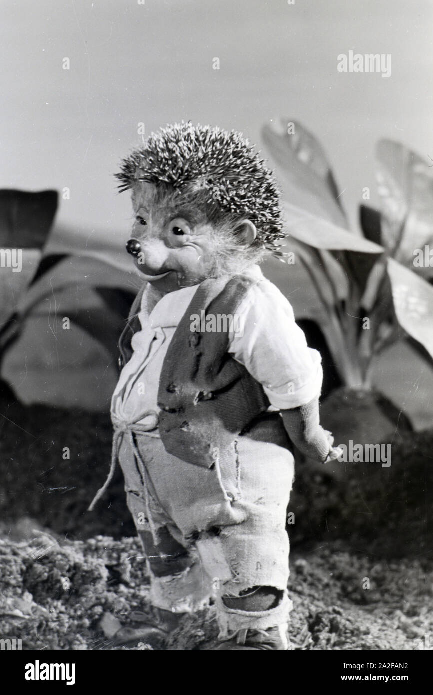 Filmaufnahmen mit dem Satz vom Puppenfilm "Der Wettlauf zwischen dem Hasen und dem Igel mit der Figur Mecki, unter der Produktion und Leitung der Gebrüder Diehl, Deutschland 1930er Jahre. Die Dreharbeiten zu dem Satz der Marionette Film Der Wettlauf zwischen dem Hasen und dem Igel mit dem Charakter Mecki, produziert und durch die Diehl Brüder geleitet, Deutschland 1930. Stockfoto