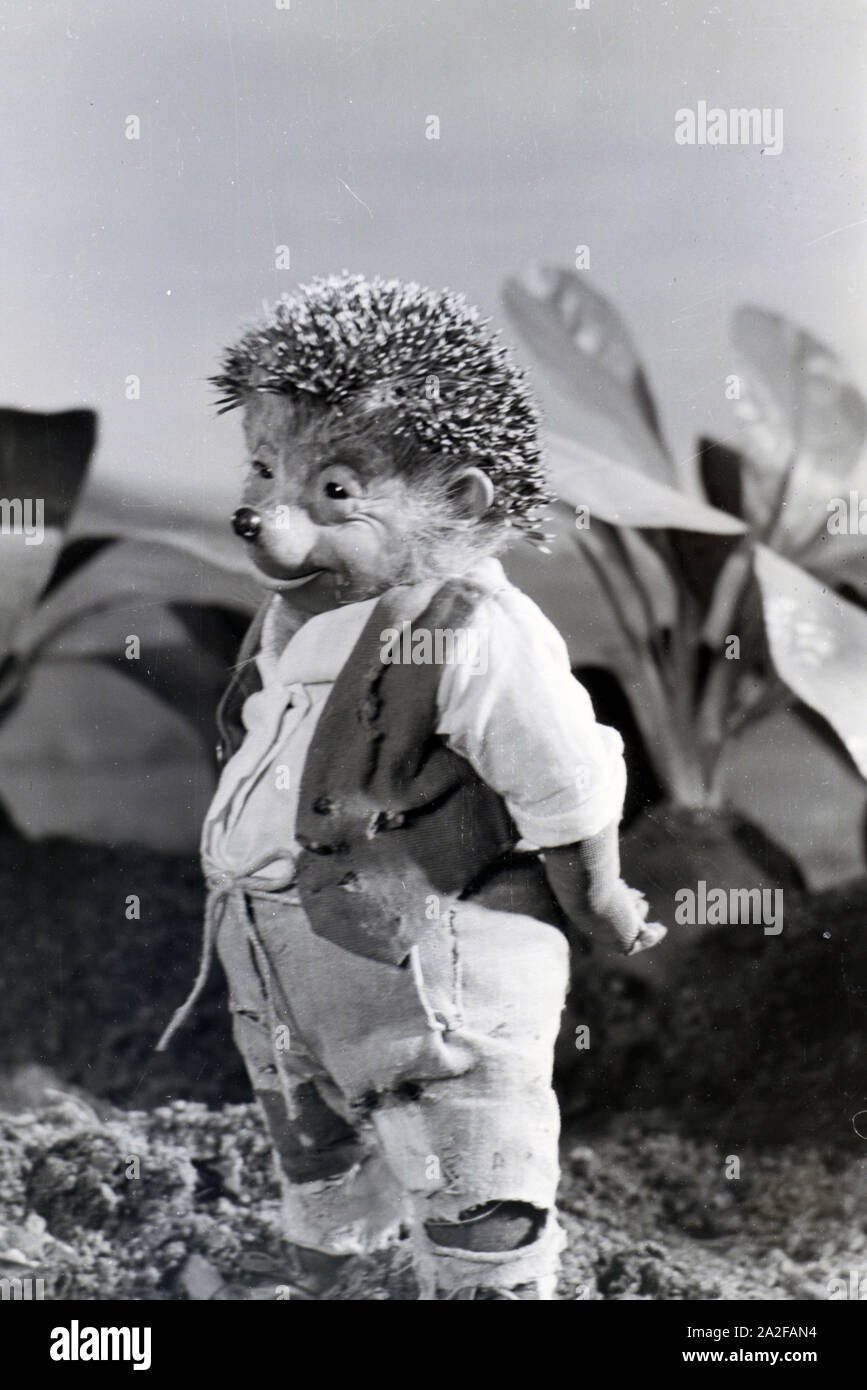 Filmaufnahmen mit dem Satz vom Puppenfilm "Der Wettlauf zwischen dem Hasen und dem Igel mit der Figur Mecki, unter der Produktion und Leitung der Gebrüder Diehl, Deutschland 1930er Jahre. Die Dreharbeiten zu dem Satz der Marionette Film Der Wettlauf zwischen dem Hasen und dem Igel mit dem Charakter Mecki, produziert und durch die Diehl Brüder geleitet, Deutschland 1930. Stockfoto