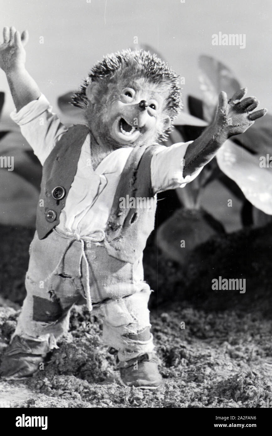 Filmaufnahmen mit dem Satz vom Puppenfilm "Der Wettlauf zwischen dem Hasen und dem Igel mit der Figur Mecki, unter der Produktion und Leitung der Gebrüder Diehl, Deutschland 1930er Jahre. Die Dreharbeiten zu dem Satz der Marionette Film Der Wettlauf zwischen dem Hasen und dem Igel mit dem Charakter Mecki, produziert und durch die Diehl Brüder geleitet, Deutschland 1930. Stockfoto