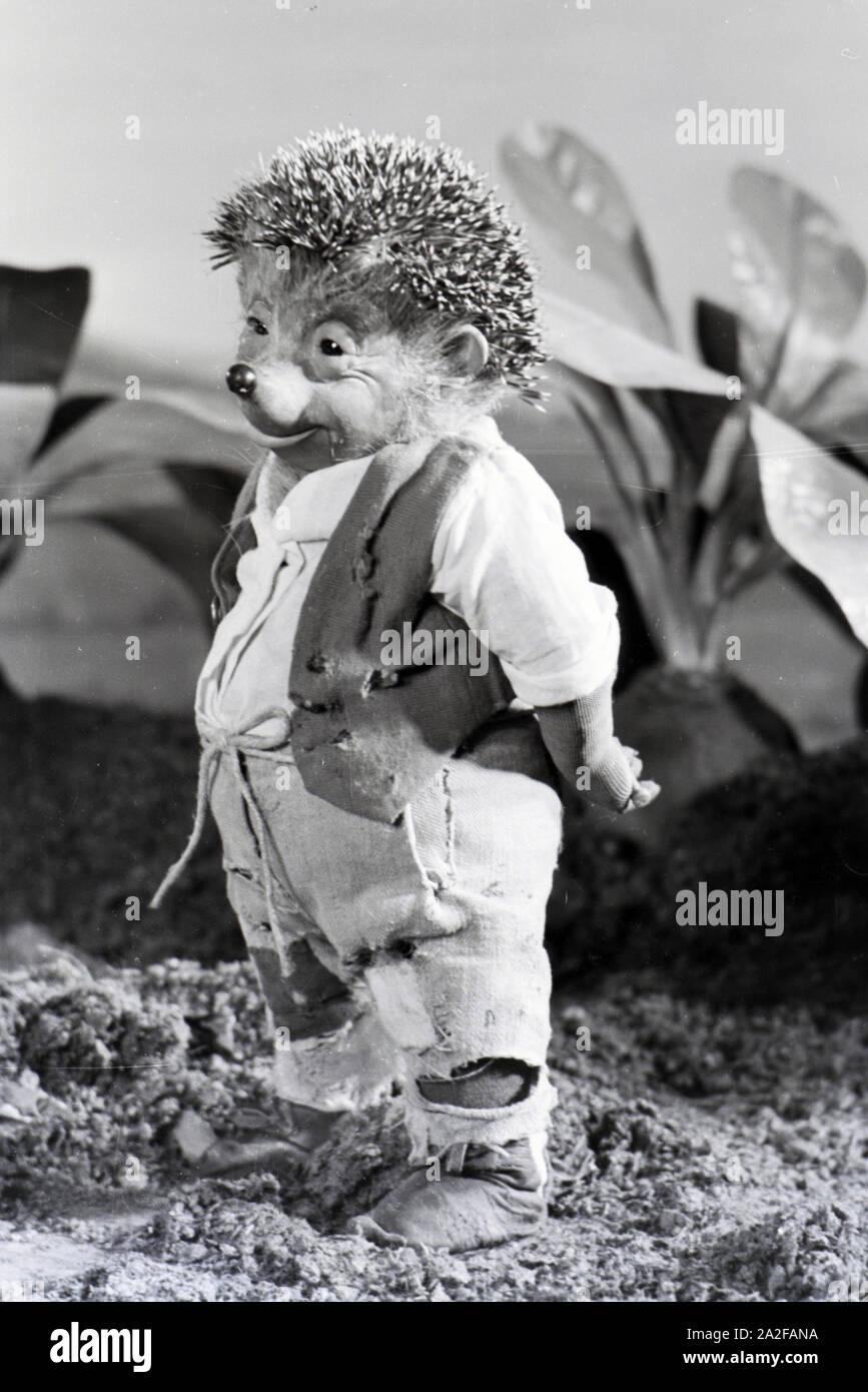 Filmaufnahmen mit dem Satz vom Puppenfilm "Der Wettlauf zwischen dem Hasen und dem Igel mit der Figur Mecki, unter der Produktion und Leitung der Gebrüder Diehl, Deutschland 1930er Jahre. Die Dreharbeiten zu dem Satz der Marionette Film Der Wettlauf zwischen dem Hasen und dem Igel mit dem Charakter Mecki, produziert und durch die Diehl Brüder geleitet, Deutschland 1930. Stockfoto