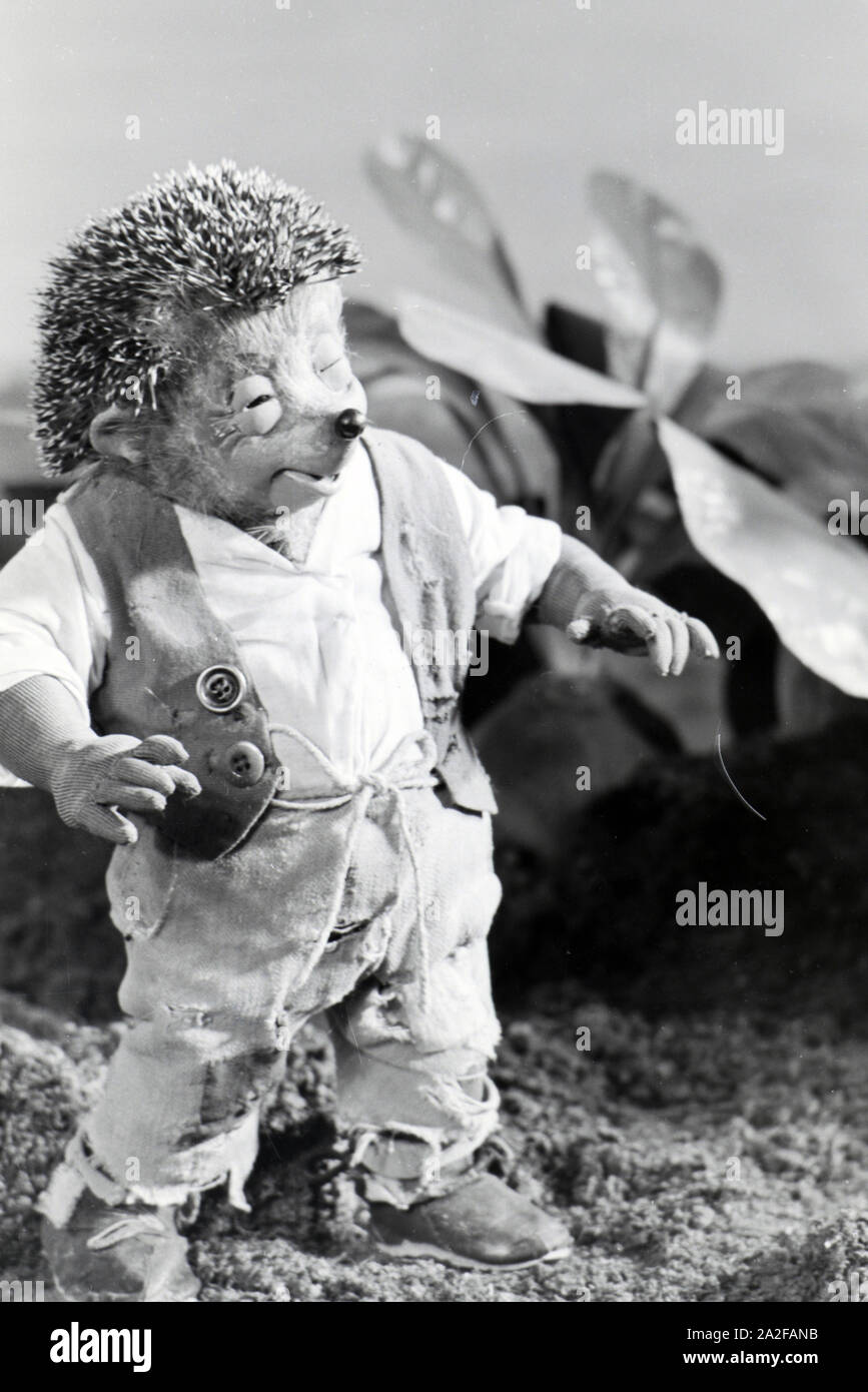 Filmaufnahmen mit dem Satz vom Puppenfilm "Der Wettlauf zwischen dem Hasen und dem Igel mit der Figur Mecki, unter der Produktion und Leitung der Gebrüder Diehl, Deutschland 1930er Jahre. Die Dreharbeiten zu dem Satz der Marionette Film Der Wettlauf zwischen dem Hasen und dem Igel mit dem Charakter Mecki, produziert und durch die Diehl Brüder geleitet, Deutschland 1930. Stockfoto