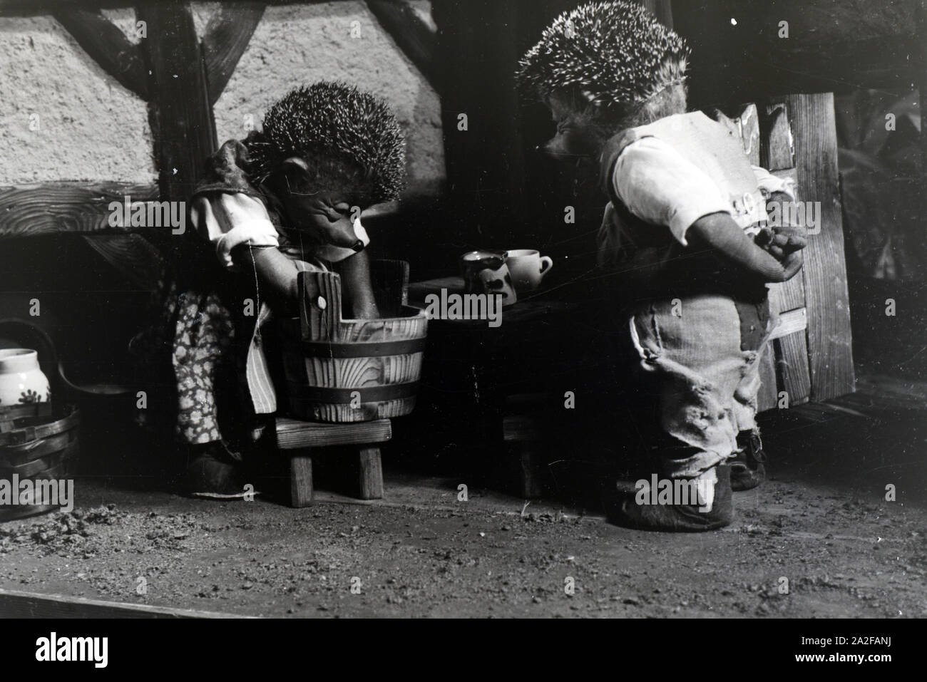 Filmaufnahmen mit dem Satz vom Puppenfilm "Der Wettlauf zwischen dem Hasen und dem Igel mit der Figur Mecki, unter der Produktion und Leitung der Gebrüder Diehl, Deutschland 1930er Jahre. Die Dreharbeiten zu dem Satz der Marionette Film Der Wettlauf zwischen dem Hasen und dem Igel mit dem Charakter Mecki, produziert und durch die Diehl Brüder geleitet, Deutschland 1930. Stockfoto