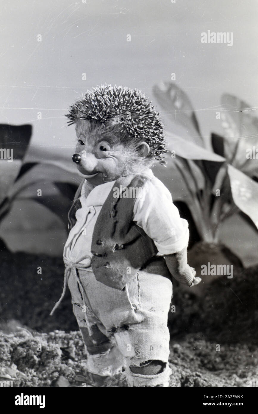 Filmaufnahmen mit dem Satz vom Puppenfilm "Der Wettlauf zwischen dem Hasen und dem Igel mit der Figur Mecki, unter der Produktion und Leitung der Gebrüder Diehl, Deutschland 1930er Jahre. Die Dreharbeiten zu dem Satz der Marionette Film Der Wettlauf zwischen dem Hasen und dem Igel mit dem Charakter Mecki, produziert und durch die Diehl Brüder geleitet, Deutschland 1930. Stockfoto