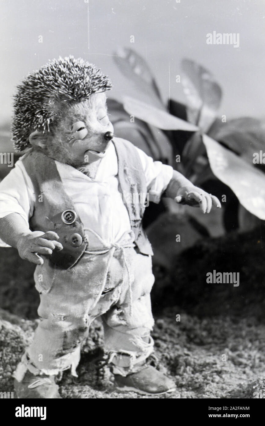 Filmaufnahmen mit dem Satz vom Puppenfilm "Der Wettlauf zwischen dem Hasen und dem Igel mit der Figur Mecki, unter der Produktion und Leitung der Gebrüder Diehl, Deutschland 1930er Jahre. Die Dreharbeiten zu dem Satz der Marionette Film Der Wettlauf zwischen dem Hasen und dem Igel mit dem Charakter Mecki, produziert und durch die Diehl Brüder geleitet, Deutschland 1930. Stockfoto