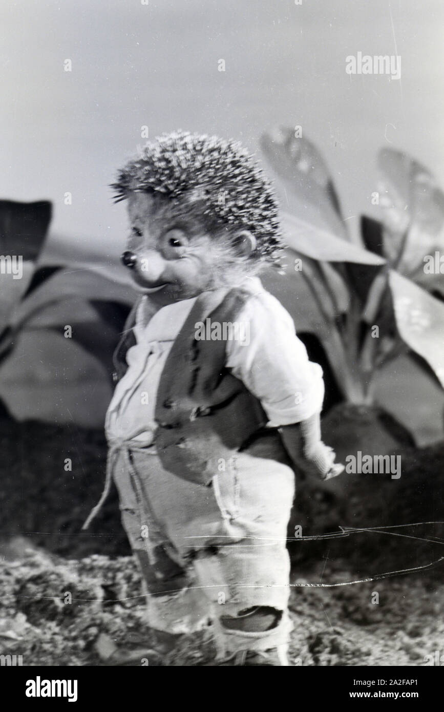 Filmaufnahmen mit dem Satz vom Puppenfilm "Der Wettlauf zwischen dem Hasen und dem Igel mit der Figur Mecki, unter der Produktion und Leitung der Gebrüder Diehl, Deutschland 1930er Jahre. Die Dreharbeiten zu dem Satz der Marionette Film Der Wettlauf zwischen dem Hasen und dem Igel mit dem Charakter Mecki, produziert und durch die Diehl Brüder geleitet, Deutschland 1930. Stockfoto