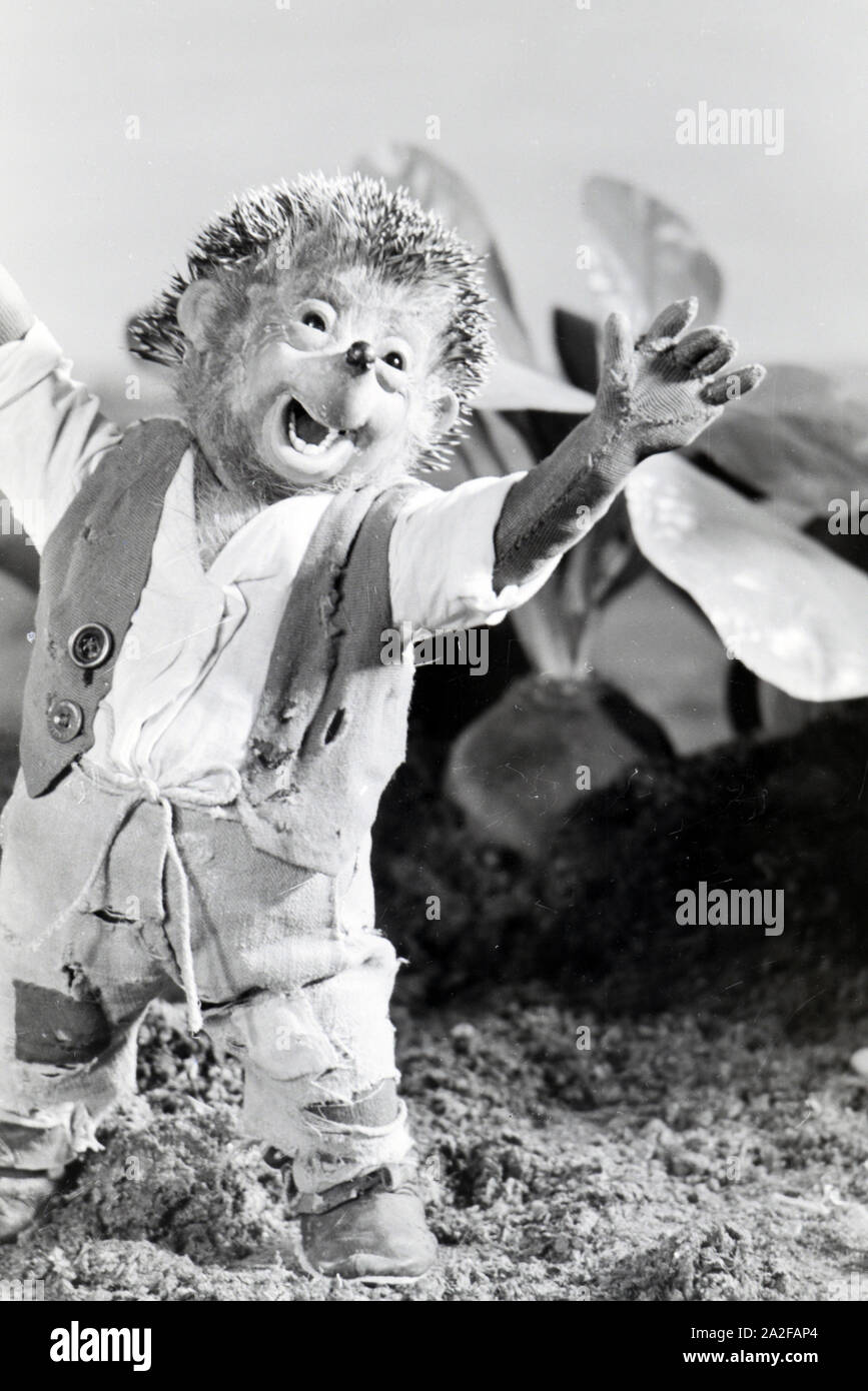 Filmaufnahmen mit dem Satz vom Puppenfilm "Der Wettlauf zwischen dem Hasen und dem Igel mit der Figur Mecki, unter der Produktion und Leitung der Gebrüder Diehl, Deutschland 1930er Jahre. Die Dreharbeiten zu dem Satz der Marionette Film Der Wettlauf zwischen dem Hasen und dem Igel mit dem Charakter Mecki, produziert und durch die Diehl Brüder geleitet, Deutschland 1930. Stockfoto