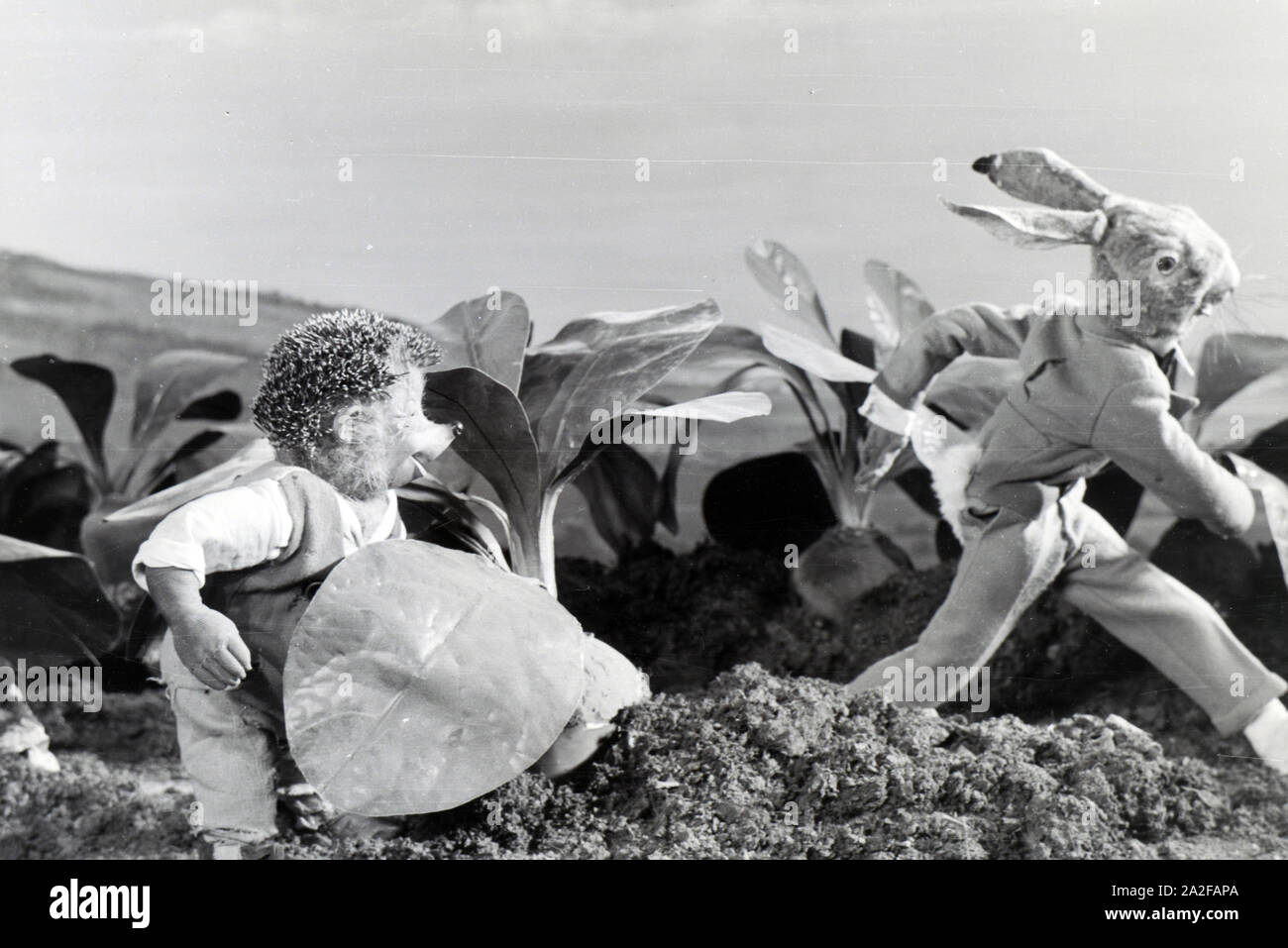 Filmaufnahmen mit dem Satz vom Puppenfilm "Der Wettlauf zwischen dem Hasen und dem Igel mit der Figur Mecki, unter der Produktion und Leitung der Gebrüder Diehl, Deutschland 1930er Jahre. Die Dreharbeiten zu dem Satz der Marionette Film Der Wettlauf zwischen dem Hasen und dem Igel mit dem Charakter Mecki, produziert und durch die Diehl Brüder geleitet, Deutschland 1930. Stockfoto