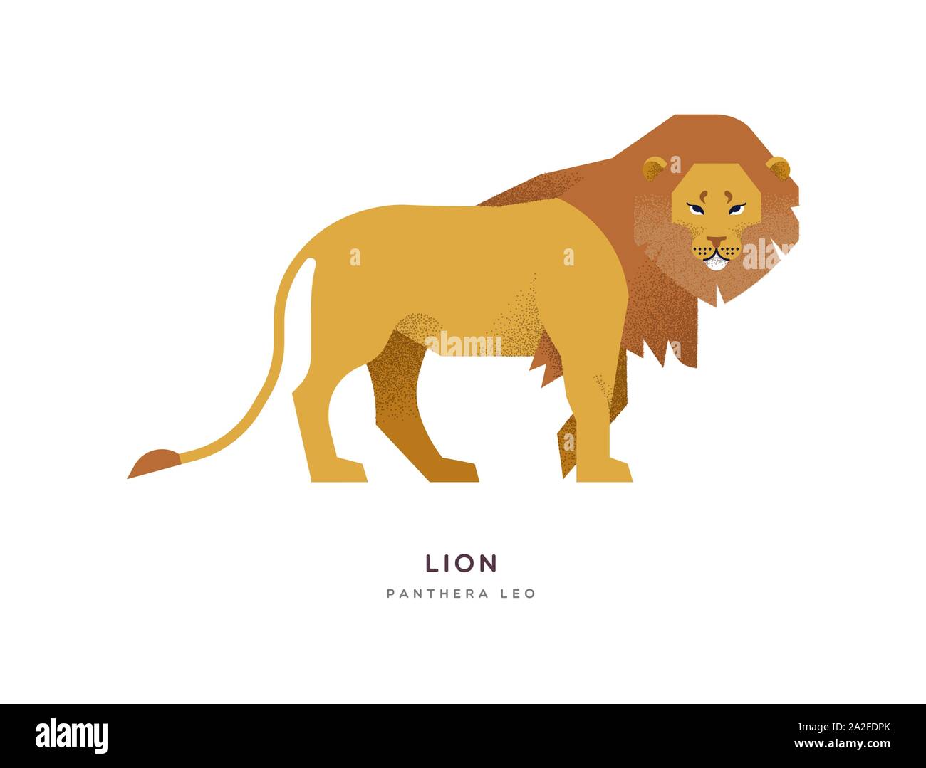 Afrikanischer Löwe Abbildung auf isolierte Hintergrund, Afrika Safari oder Zoo Tier Konzept. Pädagogische wildlife Design mit Pflanzenarten Name Label. Stock Vektor