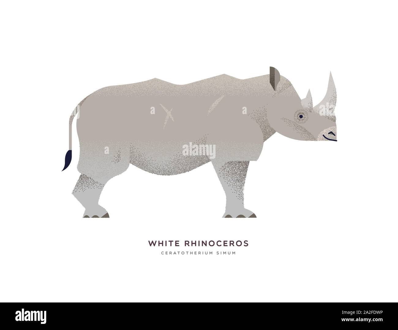 White Rhino Abbildung auf isolierte Hintergrund, African Safari oder Zoo Tier Konzept. Pädagogische Nashorn Design mit Pflanzenarten Name Label. Stock Vektor