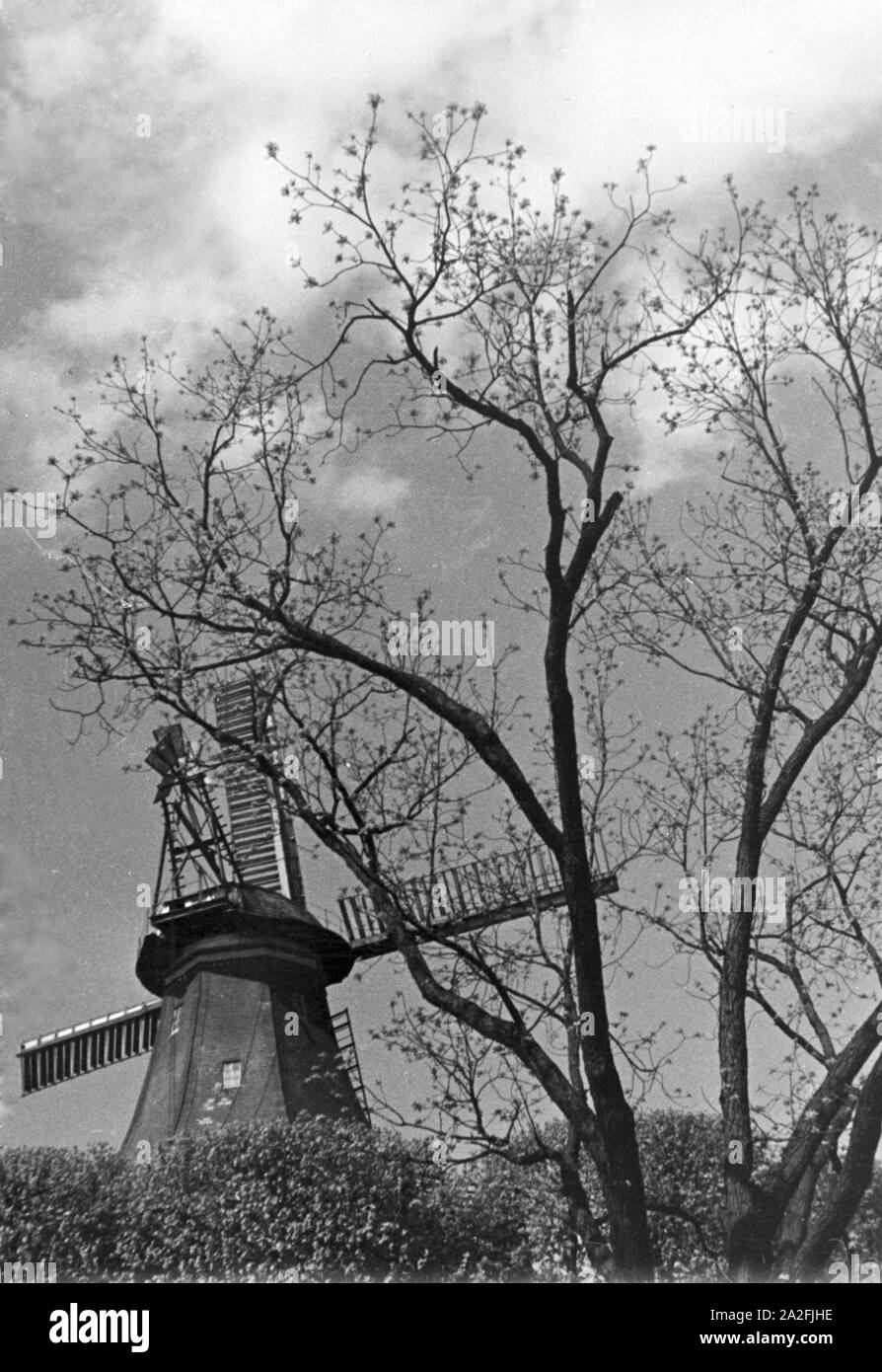 Windmühle in Frühling, Deutschland 1930er Jahre. Mühle im Frühling, Deutschland 1930. Stockfoto