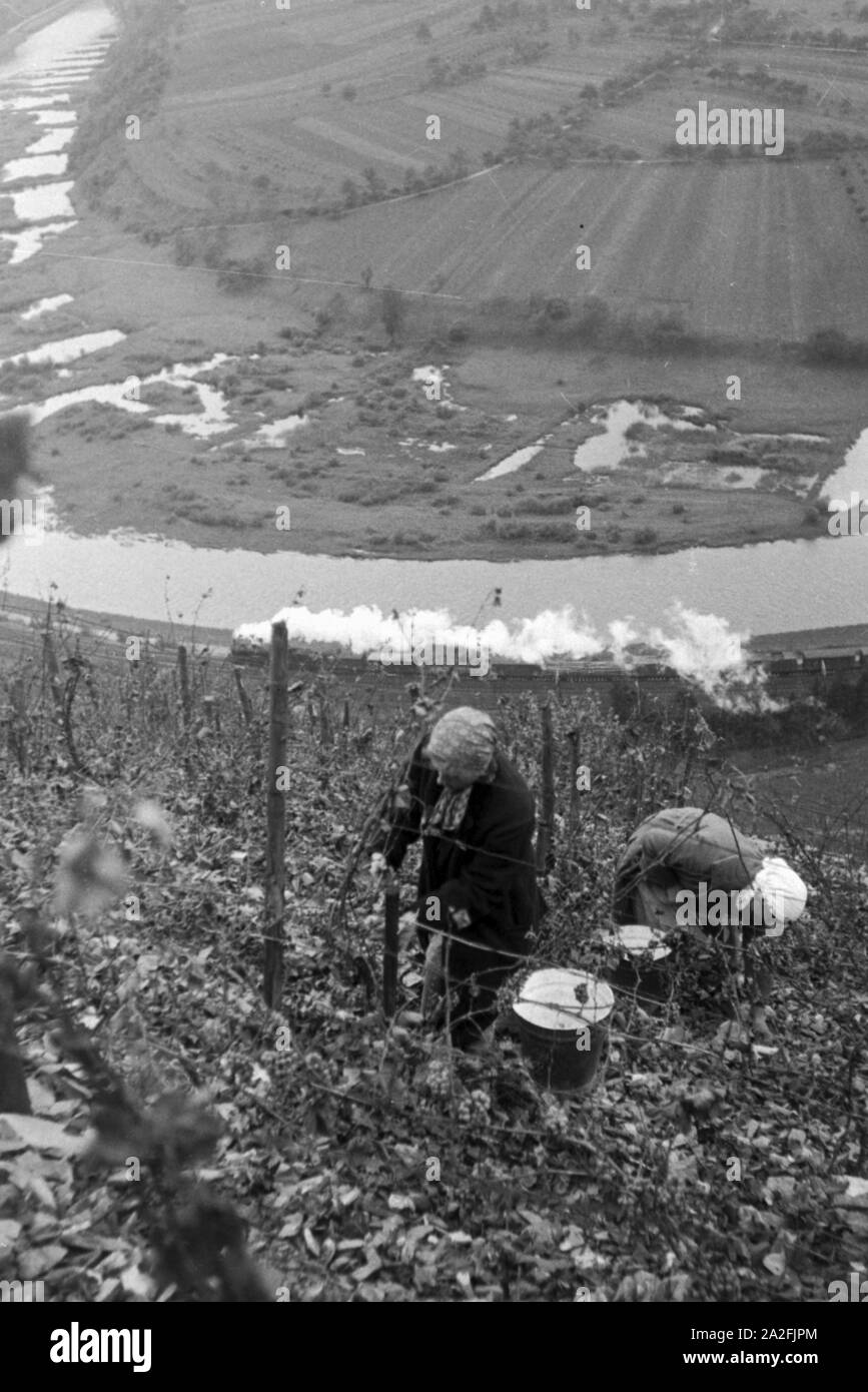 Winzer bei der Gebäude in Serrig, Deutschland 1930er Jahre. Winzer vintaging in Serrig, Deutschland 1930. Stockfoto