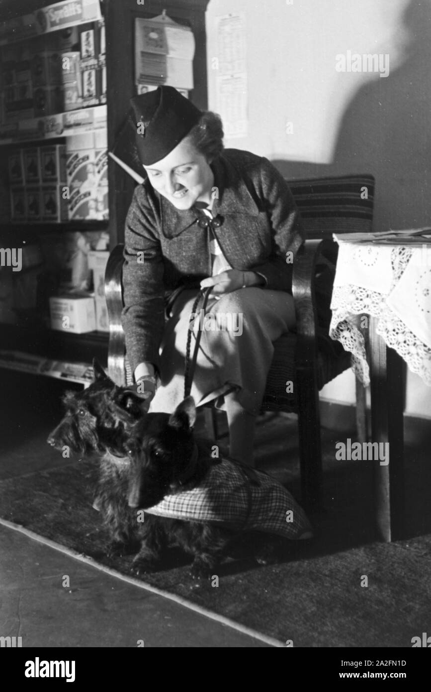 Ein 206 im Hundesalon, Deutsches Reich 30er Jahre. Visitation eines Hundes Salon, Deutschland 1930. Stockfoto