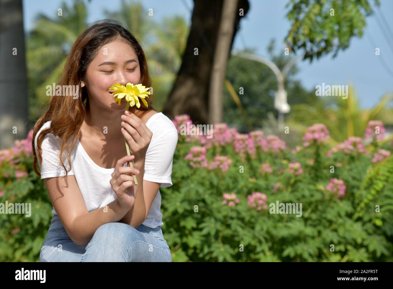Eine hübsche Frau riechende Blume Stockfoto