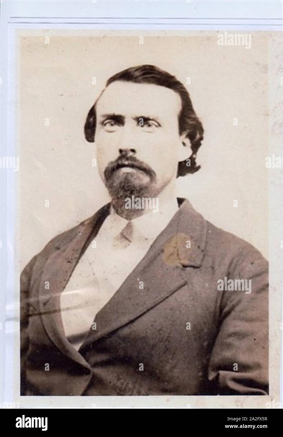 Elisa Graham Johnson Florida Senator. Stockfoto