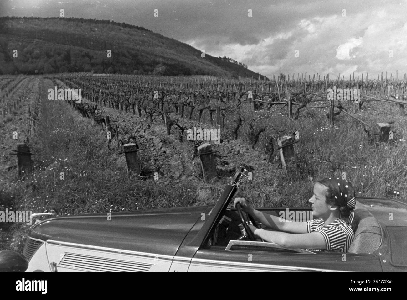 Ein Ausflug zur Weinstraße in der Pfalz, Deutsches Reich 30er Jahre. Ein Ausflug an der Deutschen Weinstraße in der Pfalz; Deutschland 1930. Stockfoto