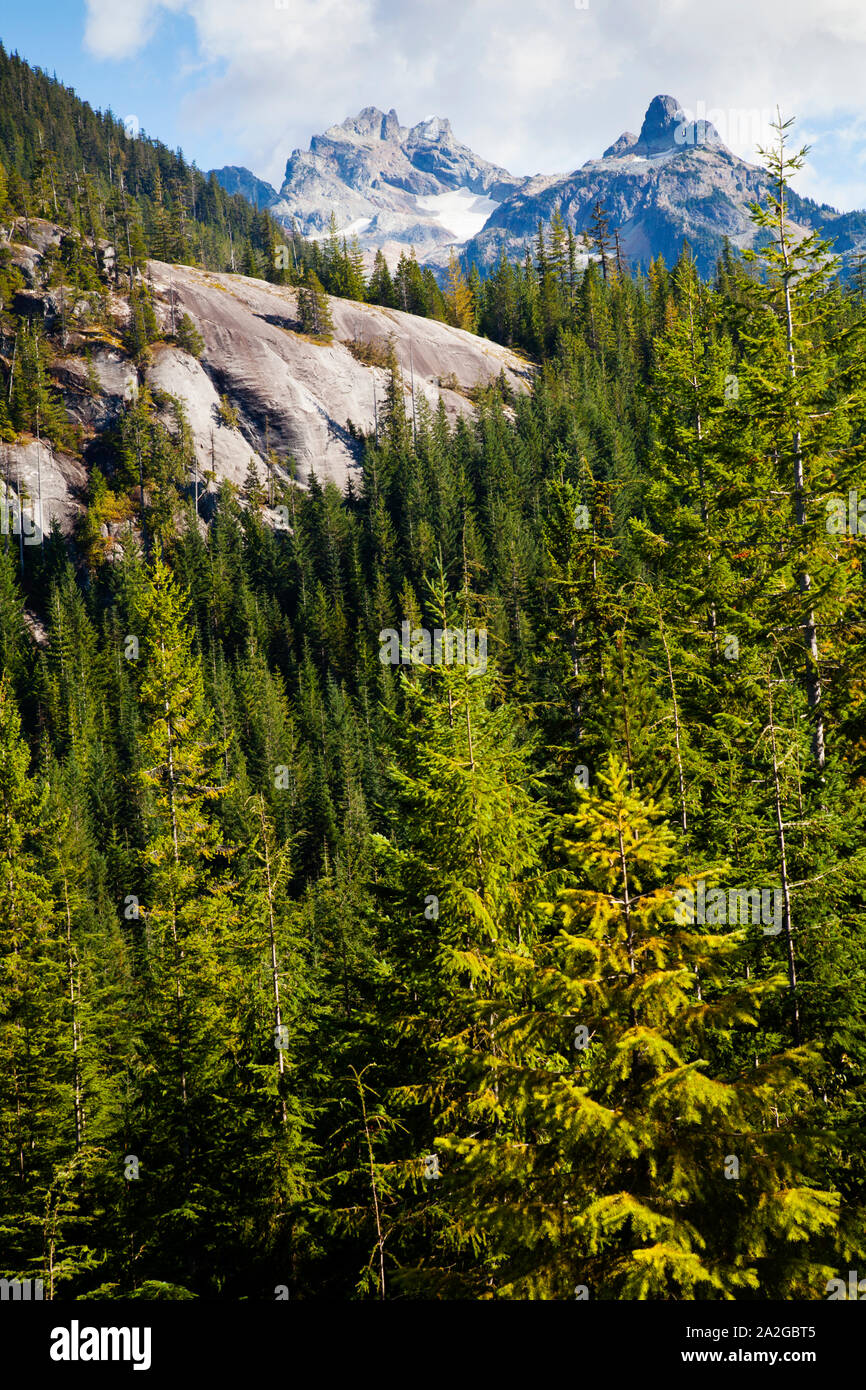 Blick auf den Wald und Sky Pilot und Co-Pilot Berge an der Oberseite der Gondel, Squamish, BC. Stockfoto
