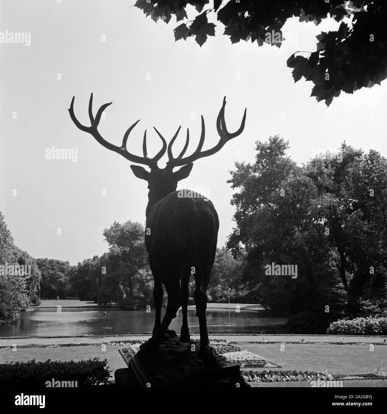 Hirschskulptur im Stadtgarten von Gelsenkirchen, Deutschland 1930er Jahre. Hirsch Skulptur in Gelsenkirchen Stadtgarten, Deutschland 1930. Stockfoto