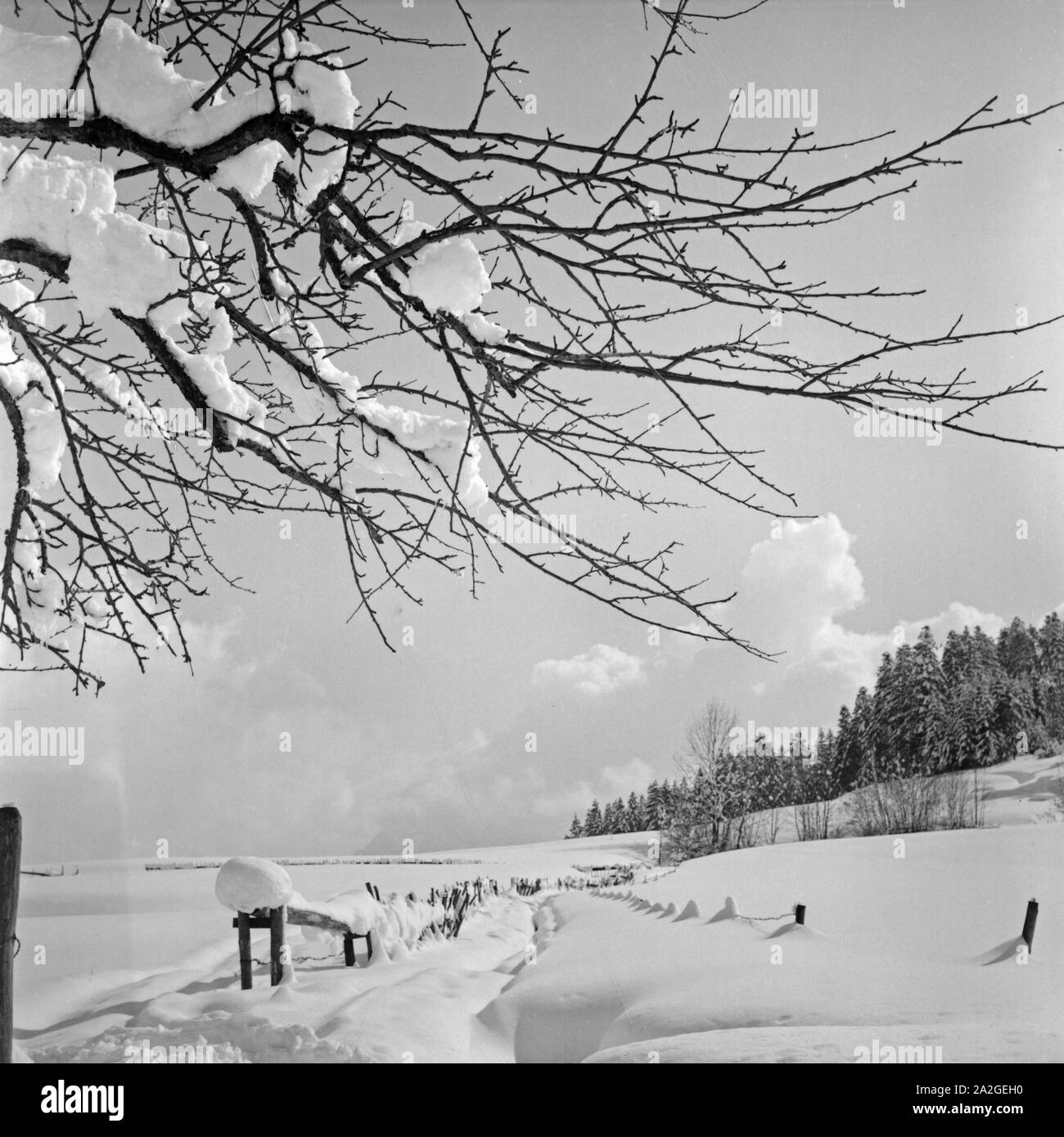 Skiausflug Nach Immenstadt Im Allgäu, Deutschland 1930er Jahre. Skiurlaub in Immenstadt im Allgäu Bereich, Deutschland der 1930er Jahre. Stockfoto