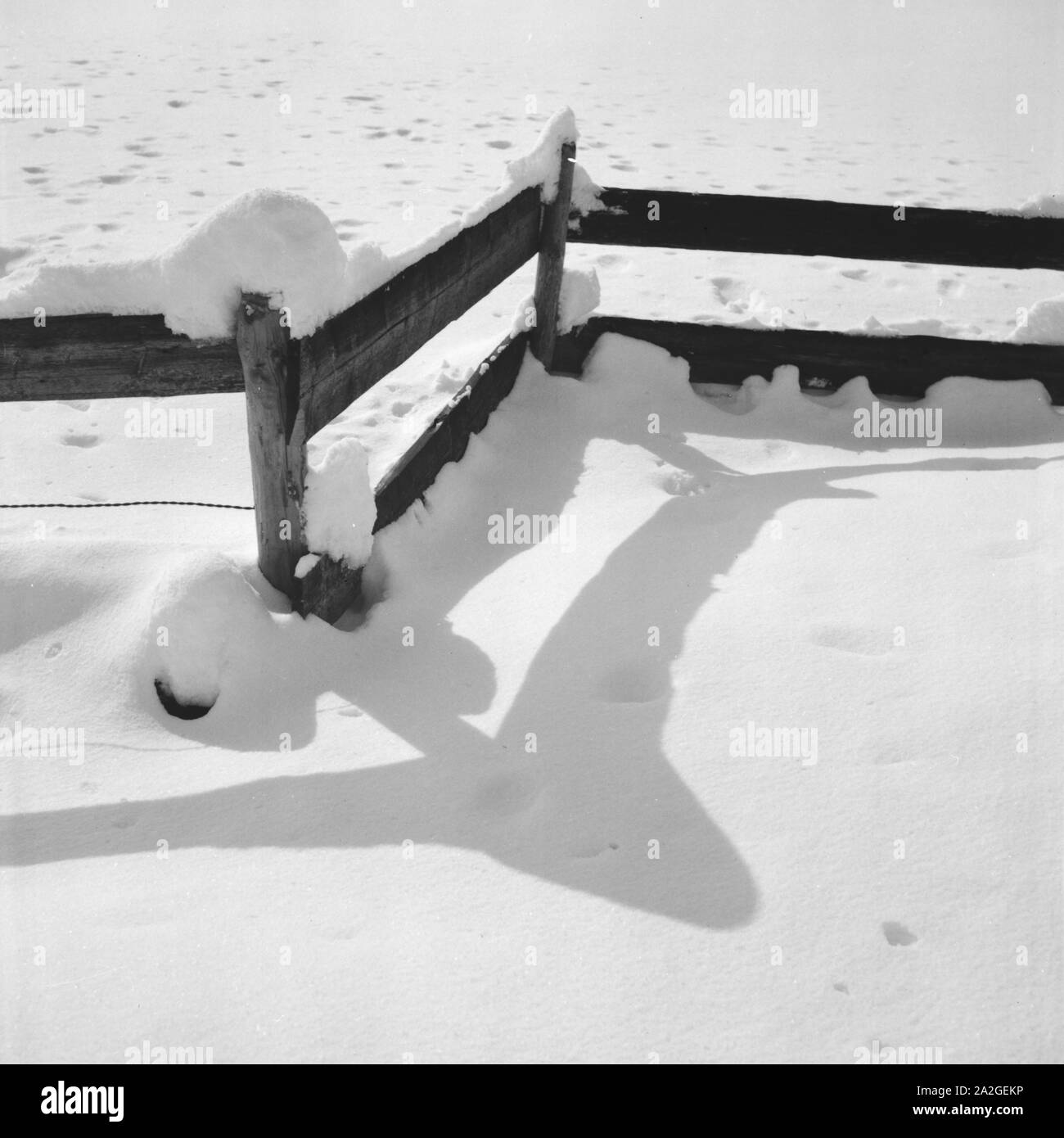 Skiausflug Nach Immenstadt Im Allgäu, Deutschland 1930er Jahre. Skiurlaub in Immenstadt im Allgäu Bereich, Deutschland der 1930er Jahre. Stockfoto