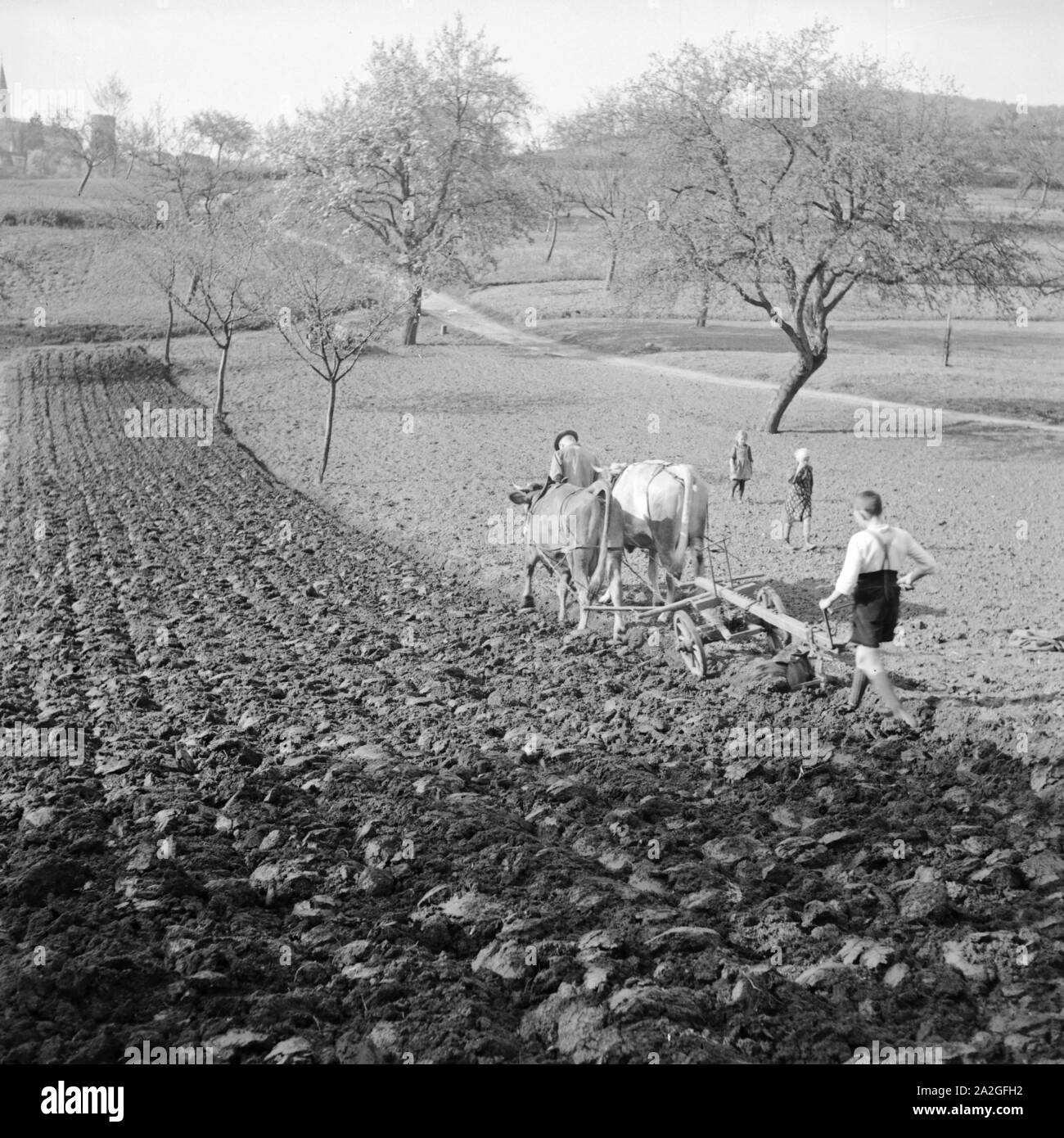 Eine Bauernfamilie bearbeitet, stand Acker, Deutschland 1930er Jahre. Ein Bauer Familie kargen Boden, Deutschland 1930. Stockfoto