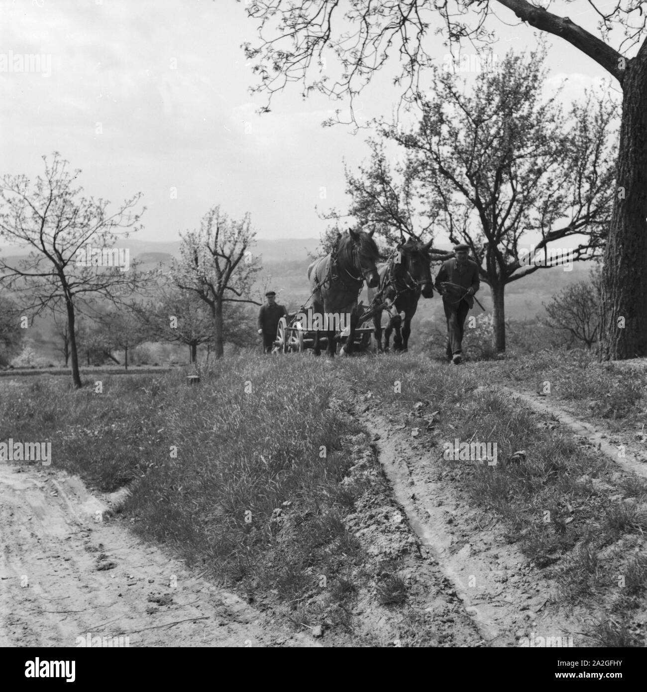 Nach der Arbeit Auf Dem Feld Zieht die Bauernfamilie Wieder Heimwärts, 1930er Jahre Deutschland. Nach der Arbeit auf ihrem Gebiet eine Bauernfamilie geht zurück nach Hause, Deutschland der 1930er Jahre. Stockfoto