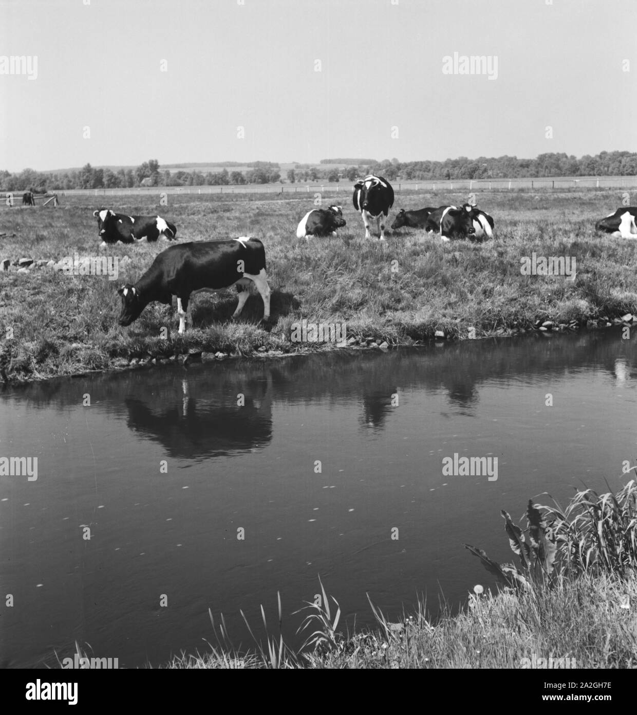 Landschaft am Rand der Reichsautobahn bei Bremen, Deutschland 1930er Jahre. Landschaft neben Reichsautobahn Highway in der Nähe von Bremen, Deutschland 1930. Stockfoto