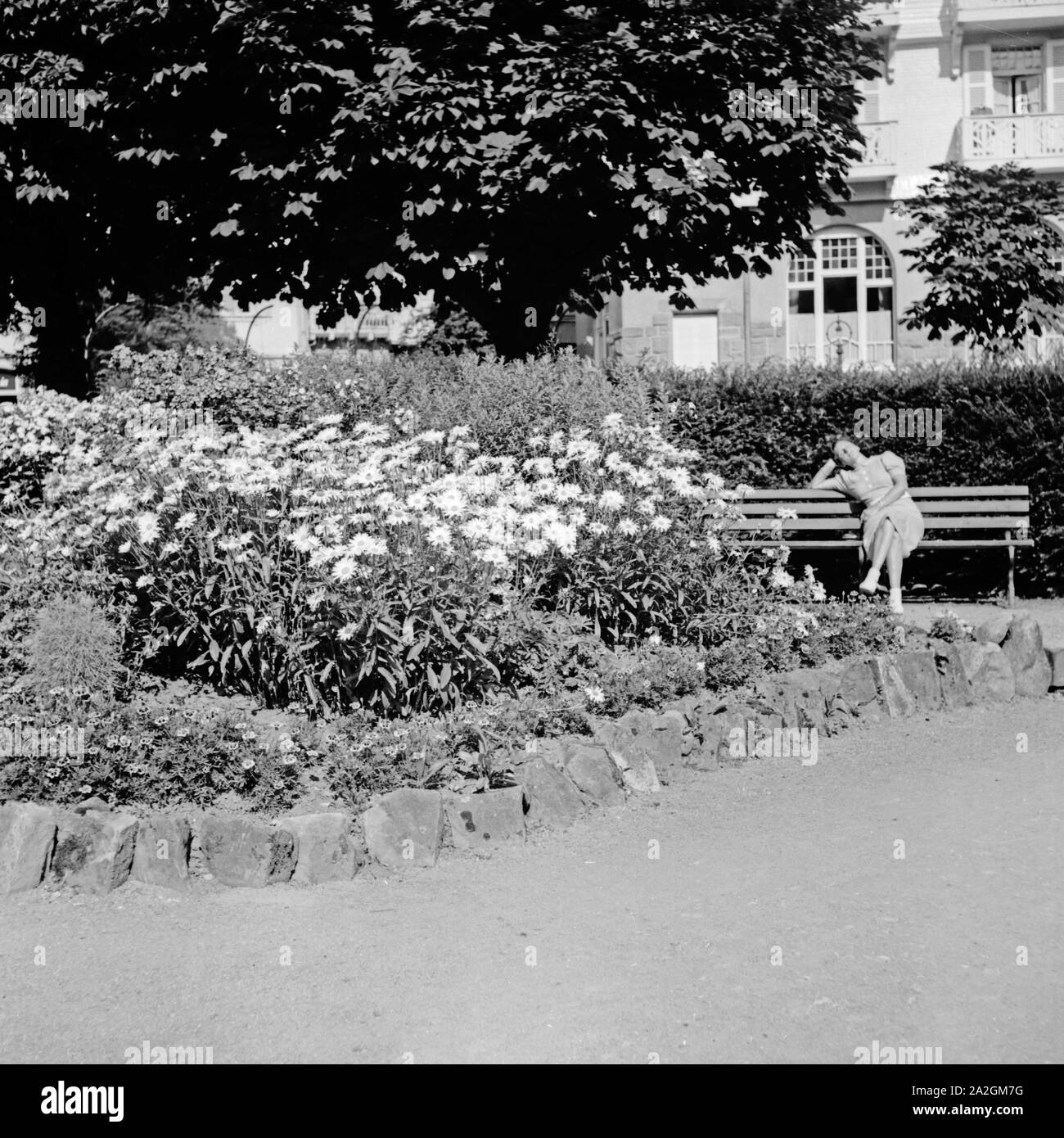 Eine Frau sitzt in einem Park auf einer Bank, Deutschland 1930er Jahre. Eine Frau sitzen auf einer Bank an einem öffentlichen Garten, Deutschland 1930. Stockfoto