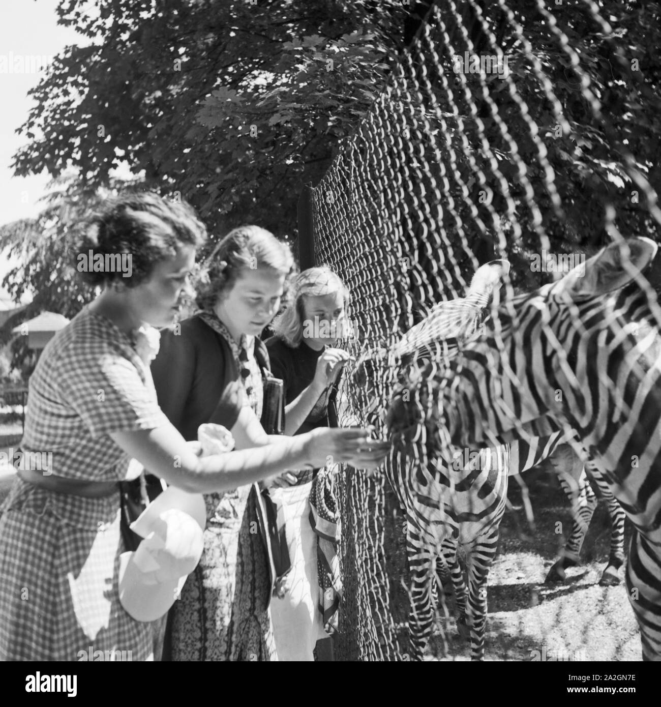 Tierpark wilhelma Fotos und Bildmaterial in hoher Auflösung Alamy