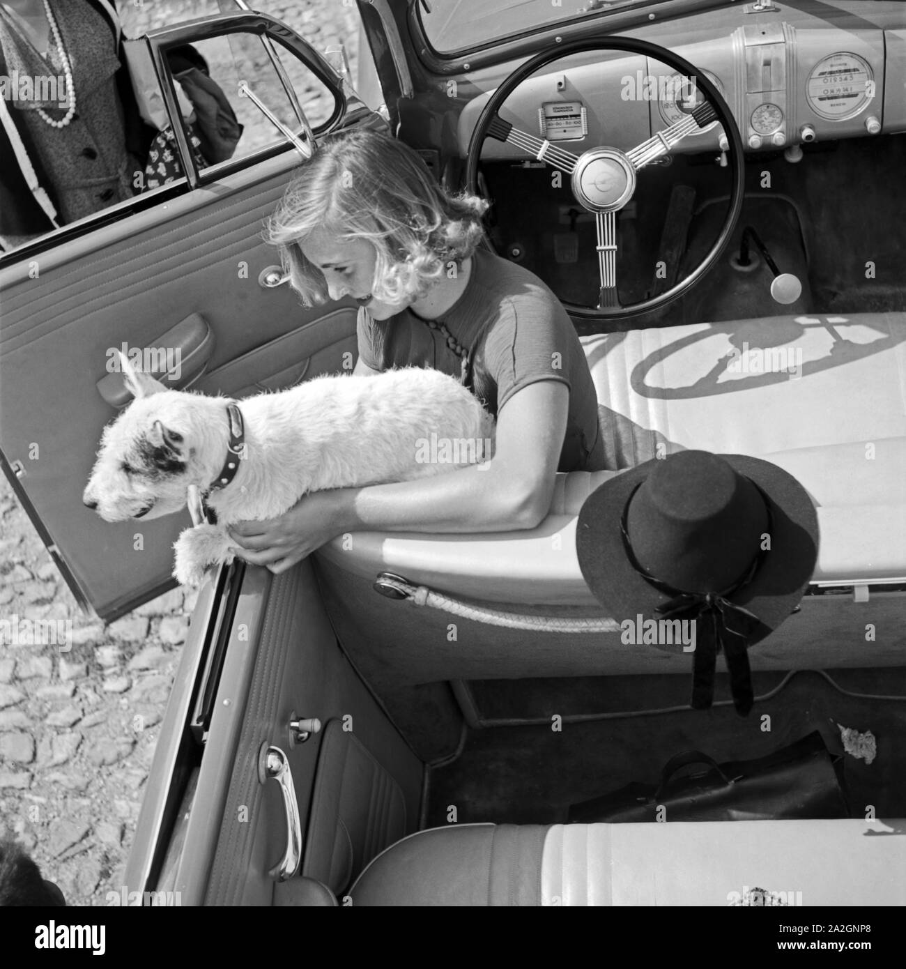 Eine Junge Frau Und Ihr Hund Im Opel Olympia Cabrio, 1930er Jahre