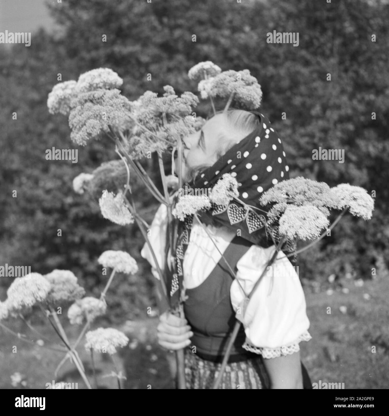 Junge Frau Beim Bergsteigen in der Wachau in Österreich, Deutschland, 1930er Jahre. Eine junge Frau auf einem Berg in der Gegend der Wachau in Österreich, Deutschland der 1930er Jahre klettern. Stockfoto