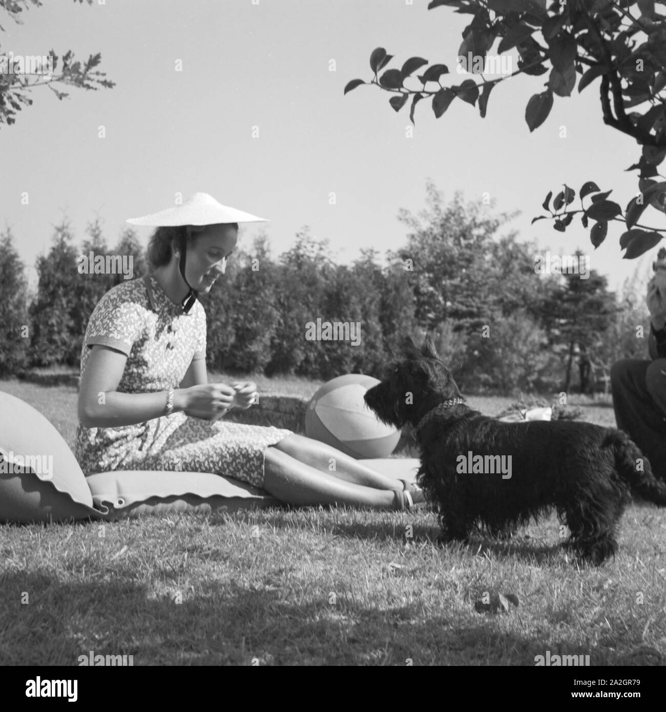 Eine Junge Frau Mit Dachmarke Hund Auf Einer Wiese, 1930er Jahre Deutschland. Eine junge Frau mit ihrem Hund auf einer Wiese, Deutschland der 1930er Jahre. Stockfoto
