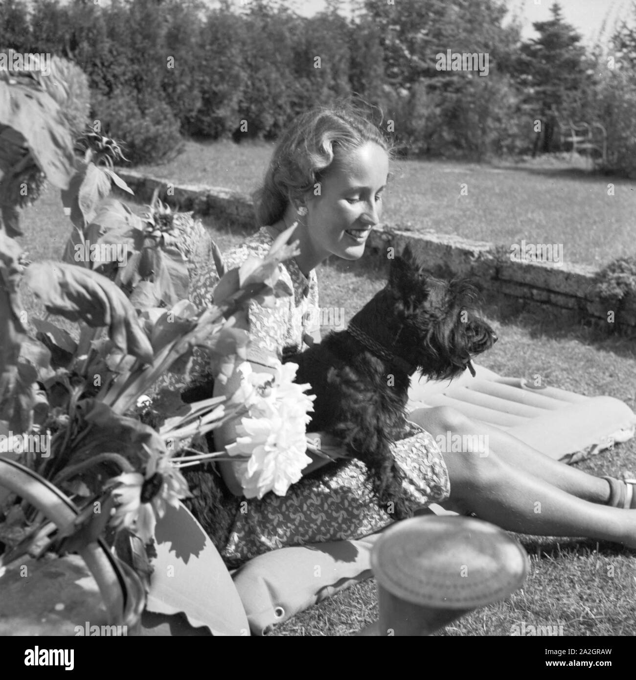 Eine Junge Frau Mit Dachmarke Hund Auf Einer Wiese, 1930er Jahre Deutschland. Eine junge Frau mit ihrem Hund auf einer Wiese, Deutschland der 1930er Jahre. Stockfoto