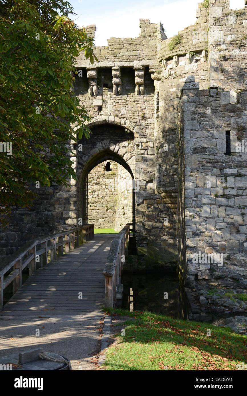 Die Holzbrücke und Haupteingang Beaumaris Castle auf Anglesey im Norden von Wales Stockfoto