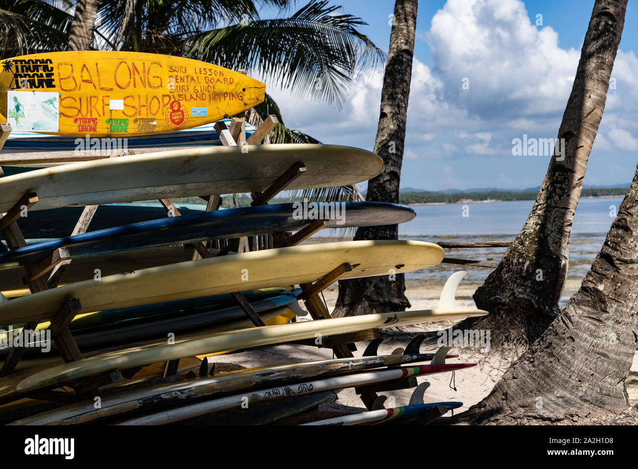 Statische Anfänger surfen Longboards im Bereich als Wagenheber, Pferd, Siargao, Philippinen bekannt Stockfoto