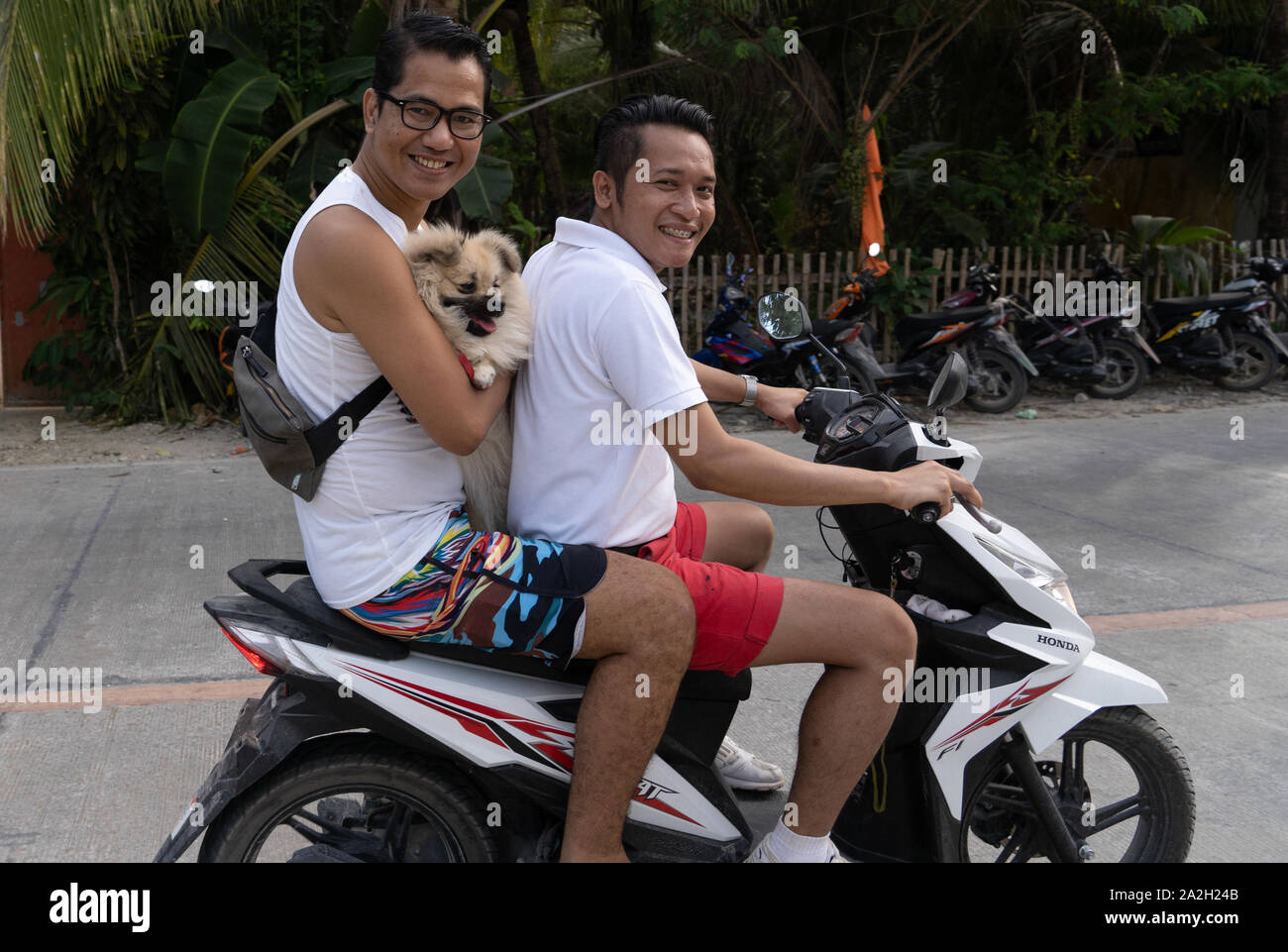 Zwei Männer Lächeln für die Kamera auf einem Roller mit der sozius Mitfahrer einen kleinen Hund, Siargao, Philippinen Stockfoto