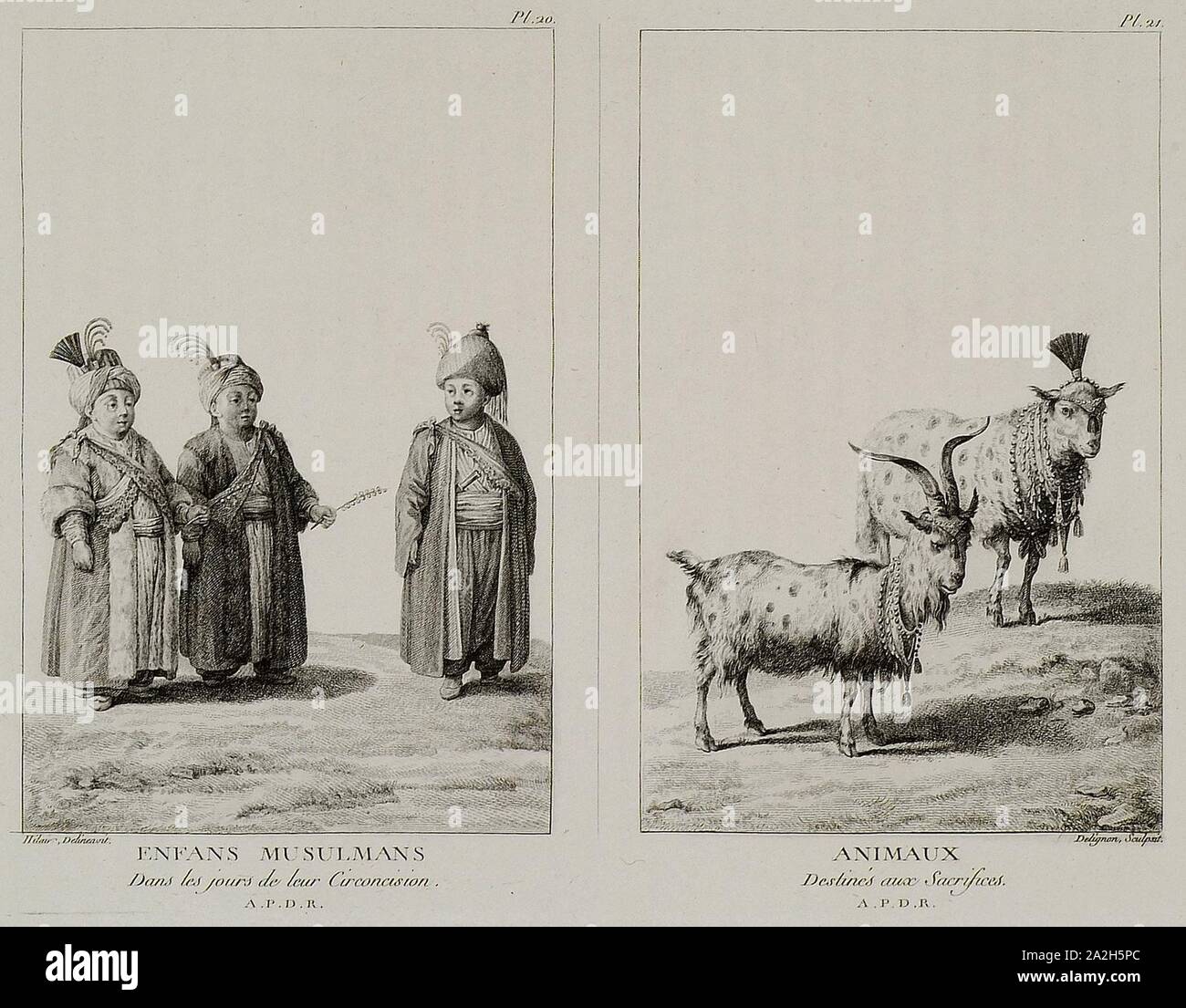 Enfans Musulmans dans les Jours de Leur circoncision Animaux destinés aux Opfer - Mouradgea D'ohsson - 1787. Stockfoto