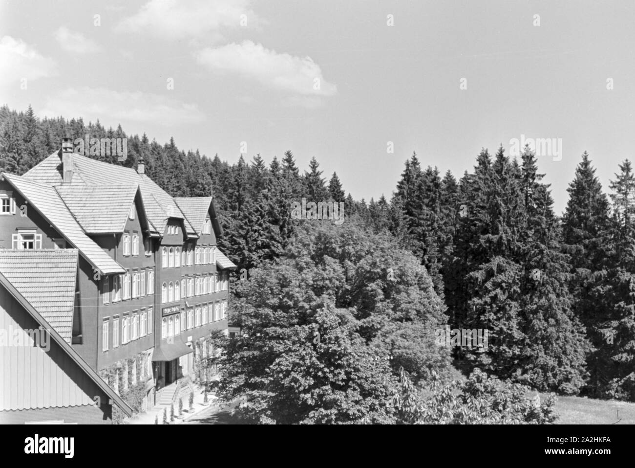 Ein Ausflug in den Erholungsort Ruhestein im Schwarzwald, Deutsches Reich 30er Jahre. Ein Ausflug in den Kurort Ruhestein im Schwarzwald, Deutschland 1930. Stockfoto