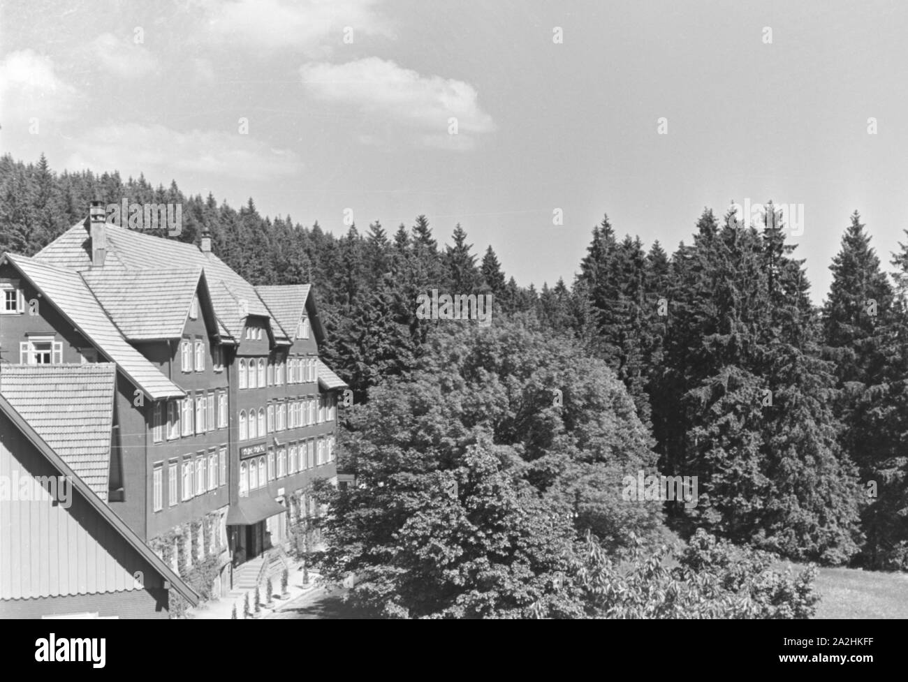 Ein Ausflug in den Erholungsort Ruhestein im Schwarzwald, Deutsches Reich 30er Jahre. Ein Ausflug in den Kurort Ruhestein im Schwarzwald, Deutschland 1930. Stockfoto