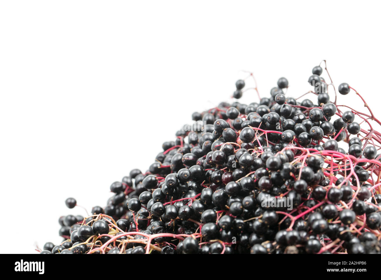 Holunderbeeren gb -Fotos und -Bildmaterial in hoher Auflösung – Alamy