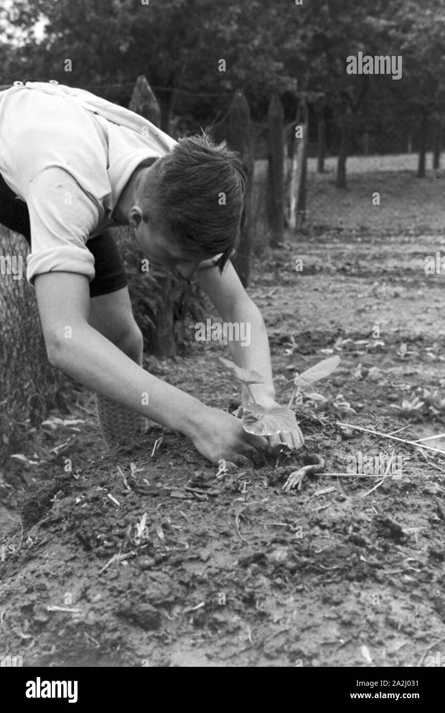 Unterricht im Freien an der von Adolf Reichwein geleiteten Landschule in Tiefensee, Deutschland 1930er Jahre. Outdoor Kategorien in der ländlichen Schule in Tiefensee von Adolf Reichwein, Deutschland 1930. Stockfoto