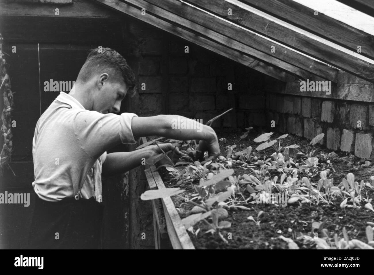 Unterricht im Freien an der von Adolf Reichwein geleiteten Landschule in Tiefensee, Deutschland 1930er Jahre. Outdoor Kategorien in der ländlichen Schule in Tiefensee von Adolf Reichwein, Deutschland 1930. Stockfoto