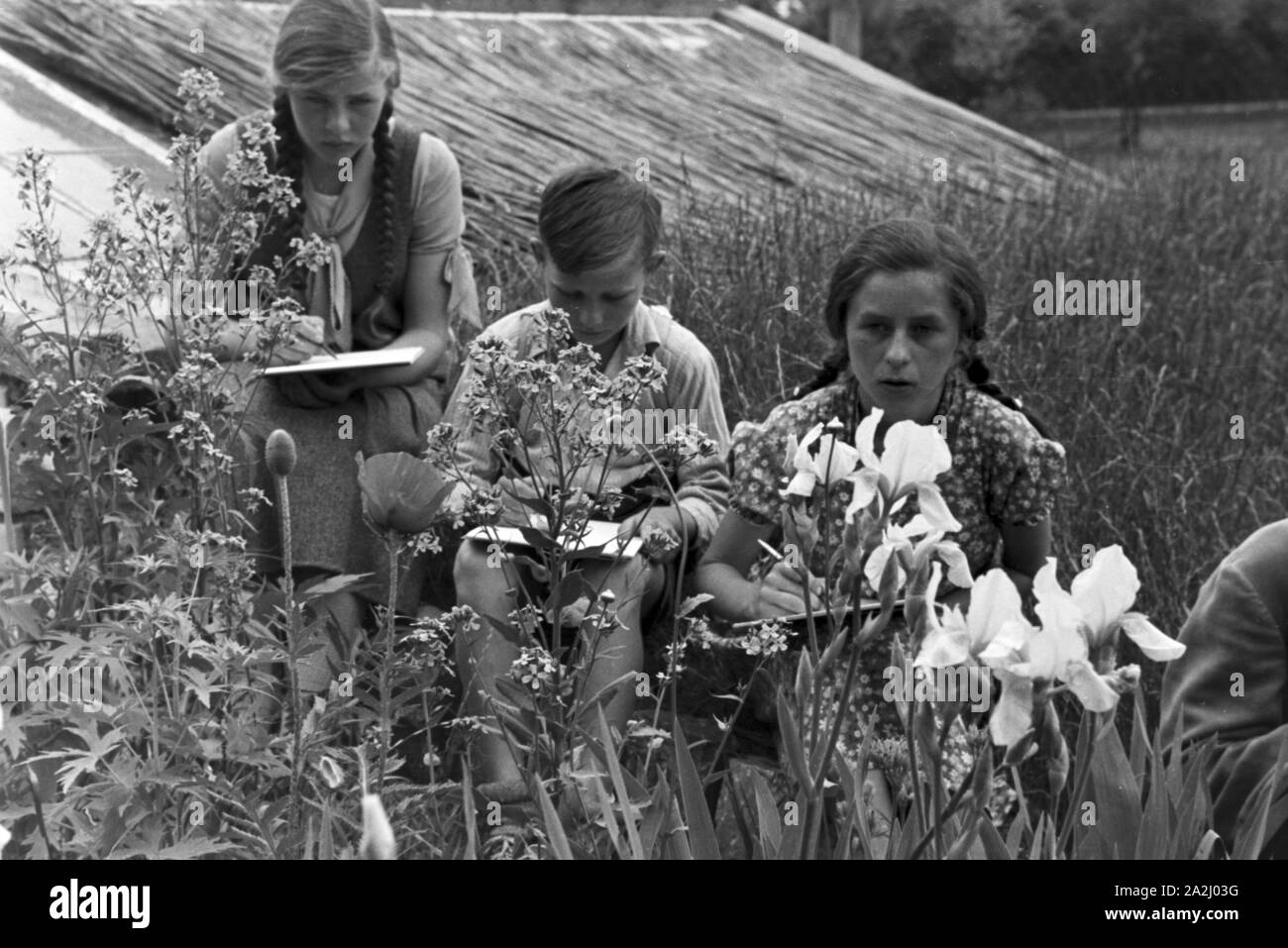 Unterricht im Freien an der von Adolf Reichwein geleiteten Landschule in Tiefensee, Deutschland 1930er Jahre. Outdoor Kategorien in der ländlichen Schule in Tiefensee von Adolf Reichwein, Deutschland 1930. Stockfoto