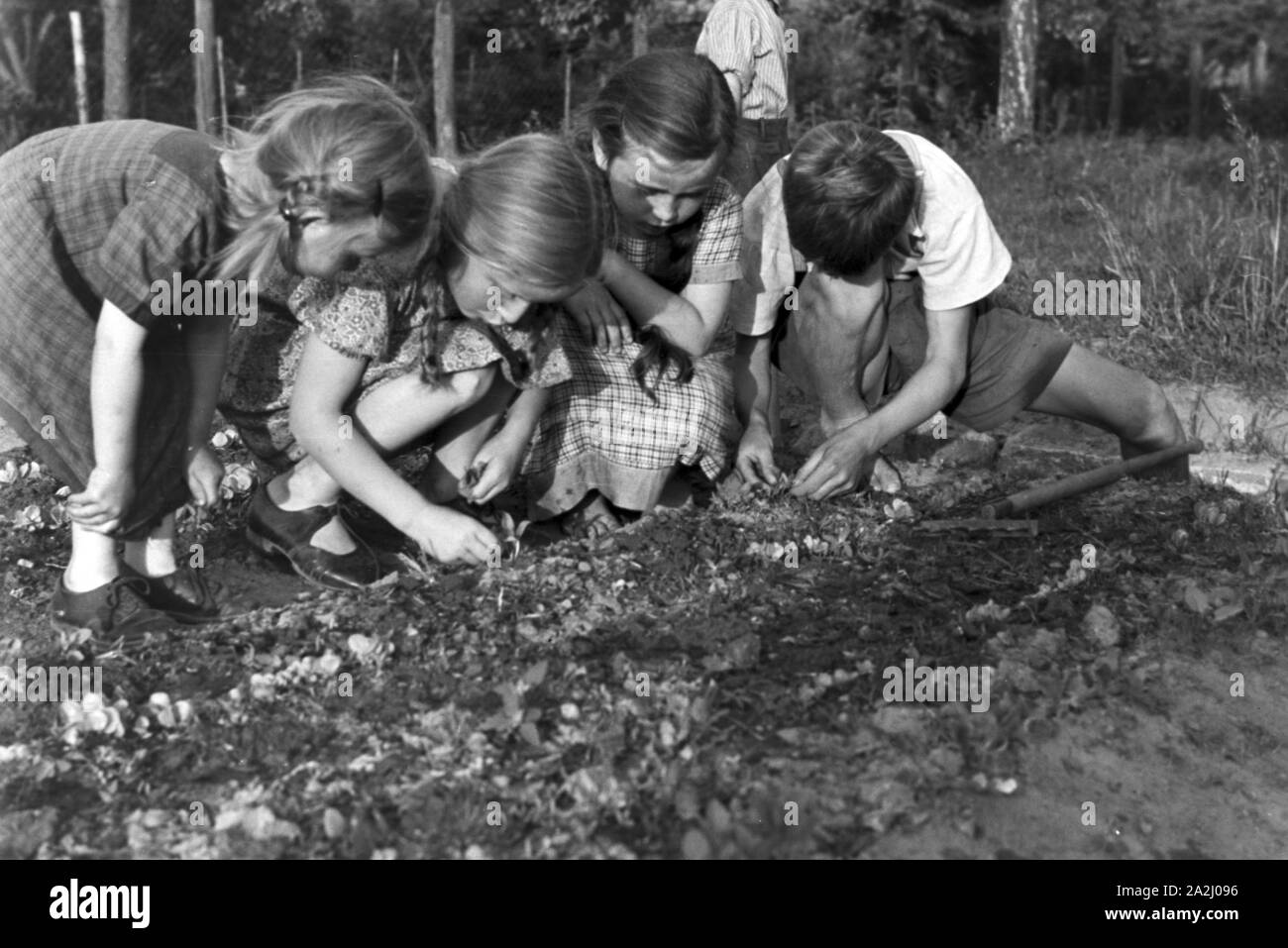 Unterricht im Freien an der von Adolf Reichwein geleiteten Landschule in Tiefensee, Deutschland 1930er Jahre. Outdoor Kategorien in der ländlichen Schule in Tiefensee von Adolf Reichwein, Deutschland 1930. Stockfoto