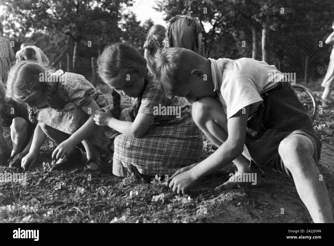 Unterricht im Freien an der von Adolf Reichwein geleiteten Landschule in Tiefensee, Deutschland 1930er Jahre. Outdoor Kategorien in der ländlichen Schule in Tiefensee von Adolf Reichwein, Deutschland 1930. Stockfoto