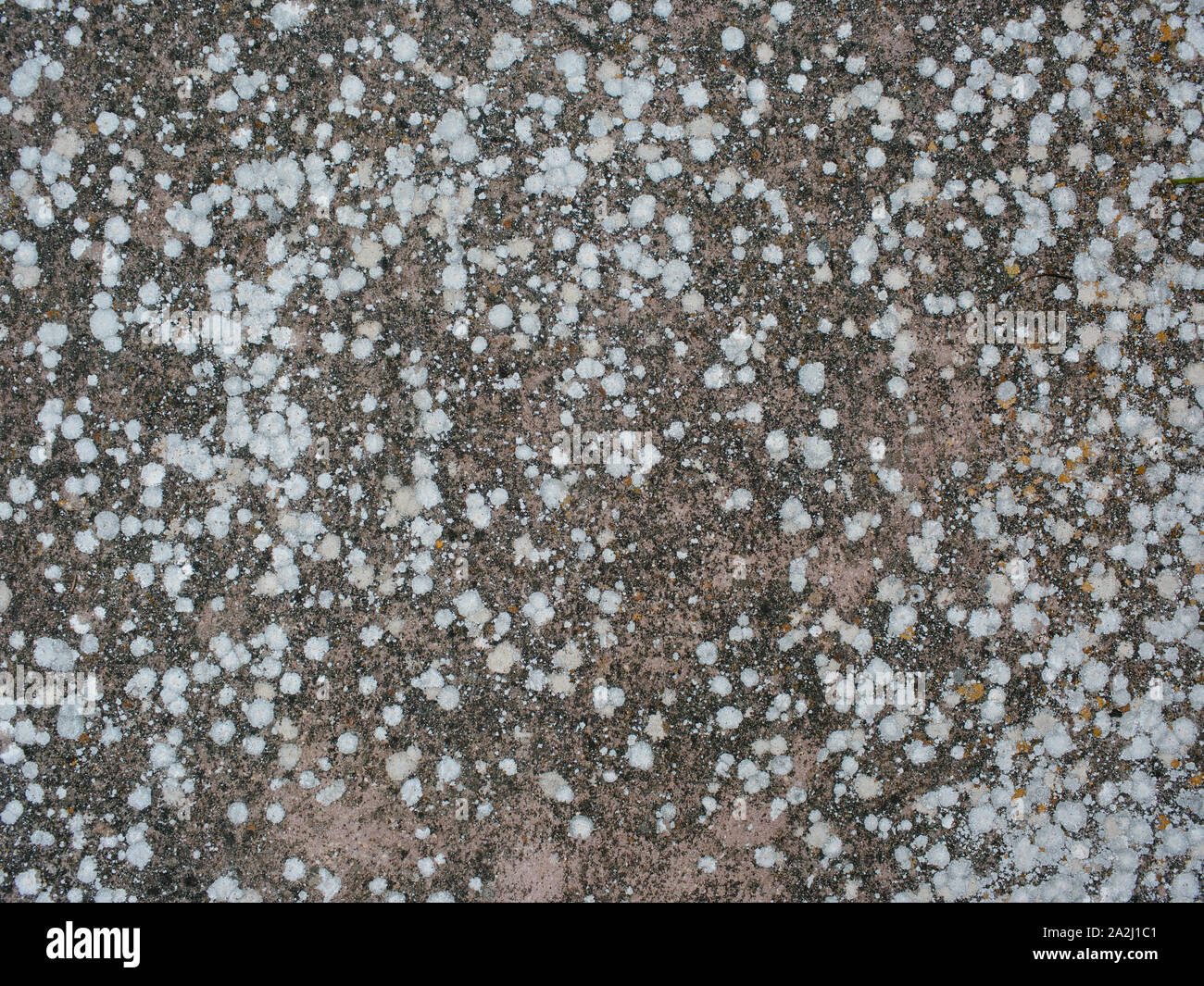 Alte Betonwand mit weissen Flecken Stockfoto
