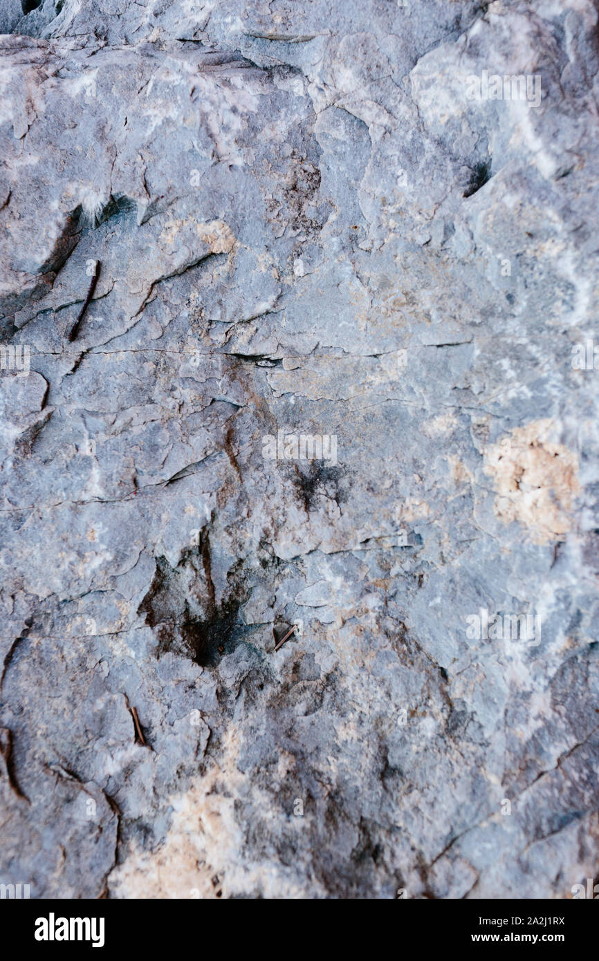 Rock Textur mit blauen Tönen Stockfoto
