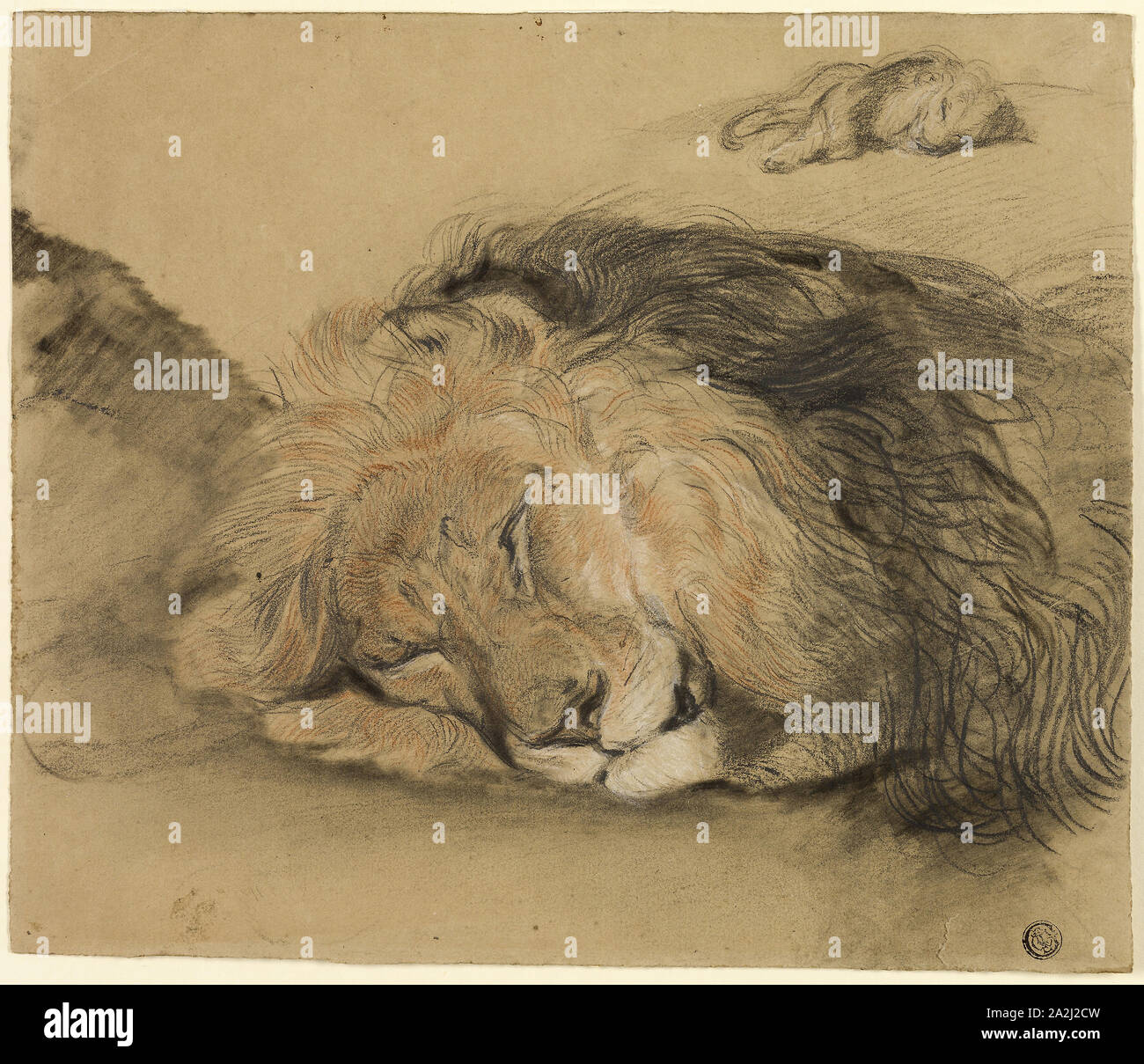 Lion's Head und Skizze eines Löwen, n.d., Edmé Saint-Marcel (Französisch, 1819-1890), oder Stil von Antoine Louis Barye (Französisch, 1795-1875), Frankreich, Kohle und Graphit, mit stumping und Rote Kreide mit einem Hauch von weißer Kreide auf braunem Papier webten, 252 × 295 mm Zugeschrieben Stockfoto