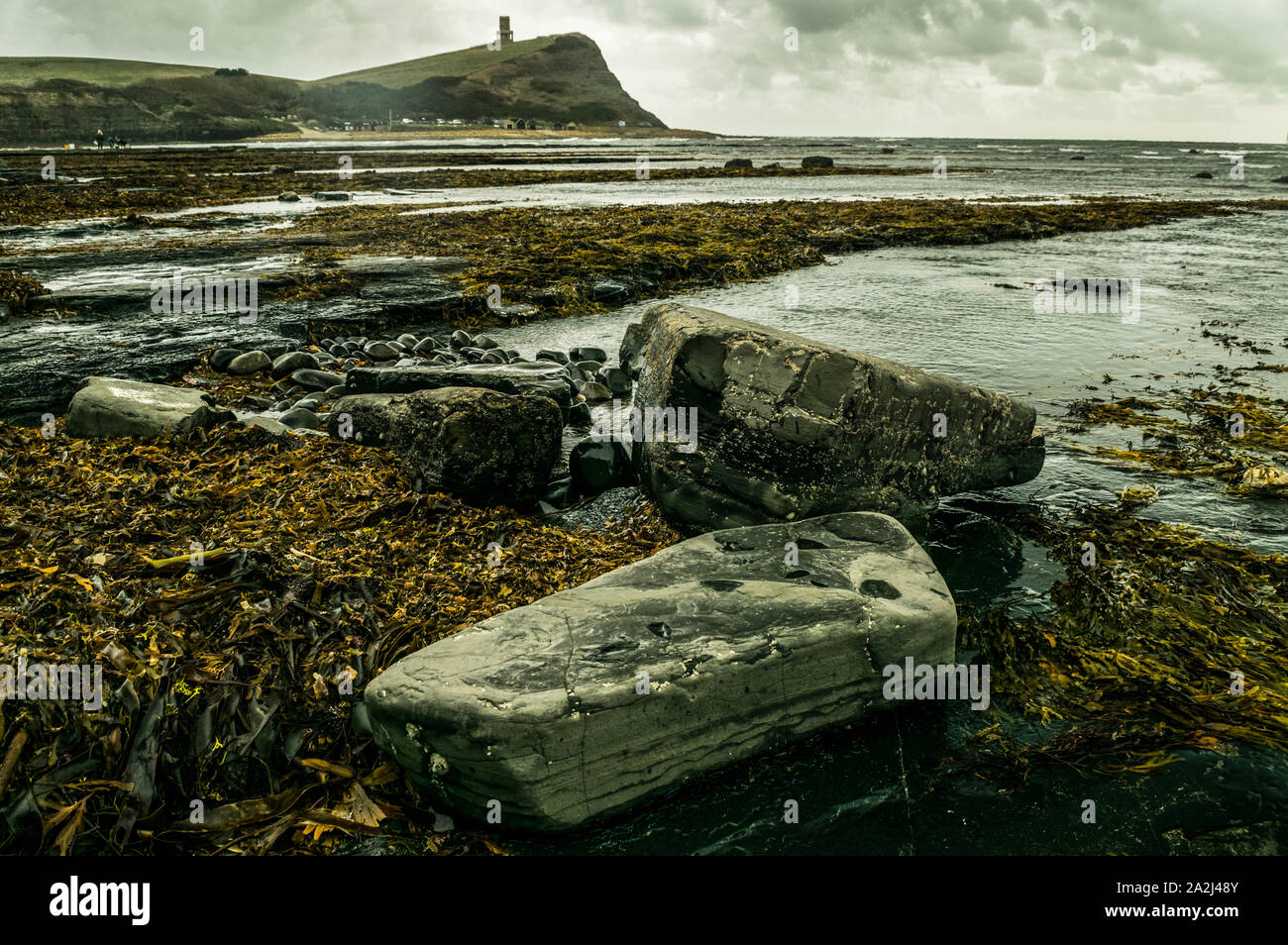 Große jurassic Rocks im Vordergrund umgeben mit Algen und stürmischen Himmel mit Clavell Turm bei Kimmeridge Bay, Wareham, Dorset Stockfoto