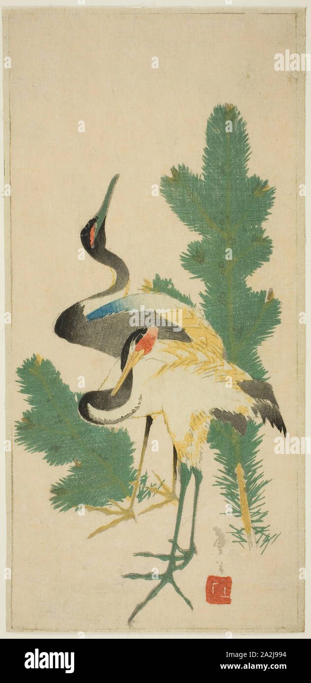 Kiefer und Kräne, C. 1830/44, Katsushika Taito II, Japanisch, aktive c, 1810-53, Japan, Farbe holzschnitt, Abschnitt Der harimaze Blatt, 14 x 6 1/2 in. Stockfoto